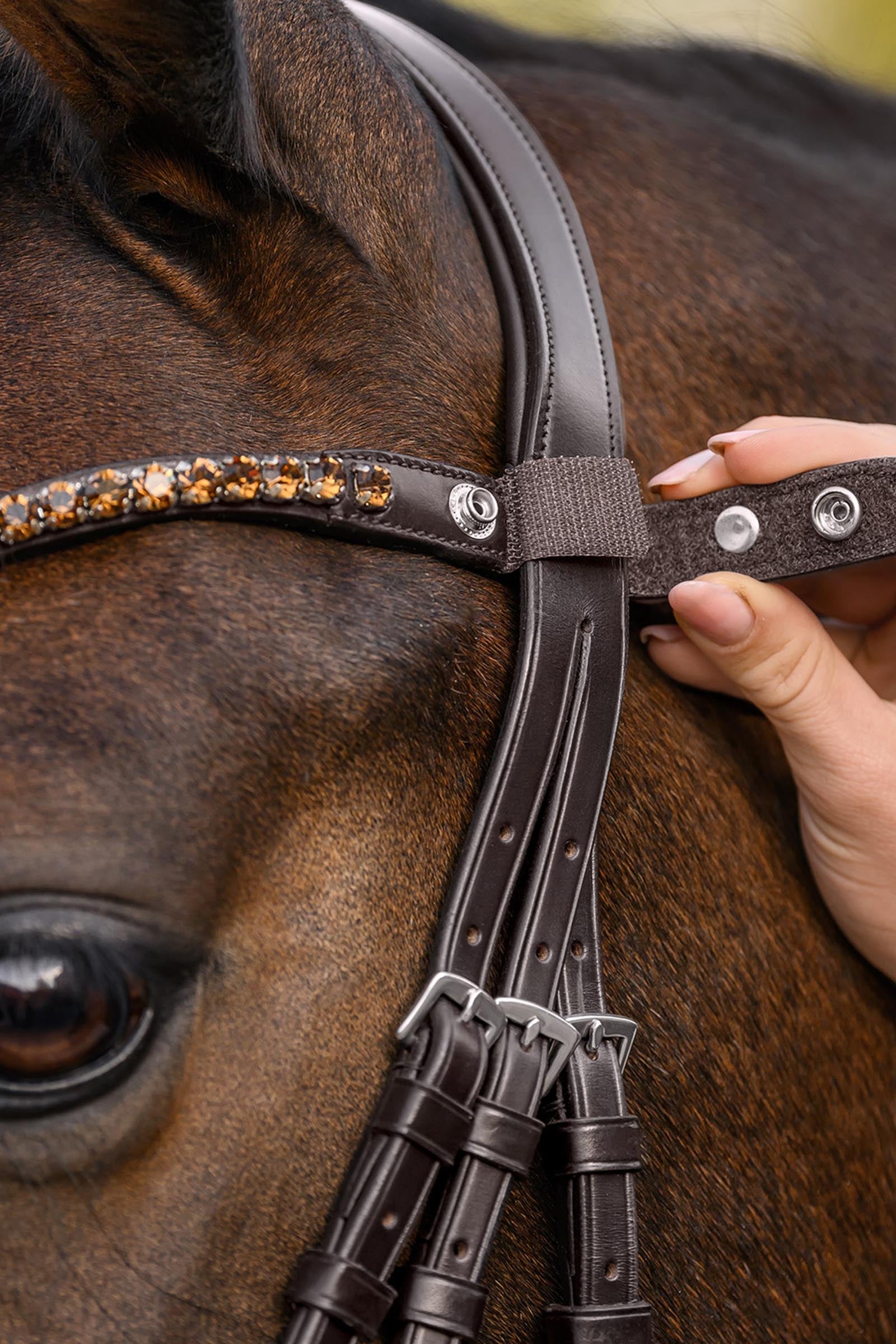 Waldhausen X-Line Shine Browband Bridles & Reins
