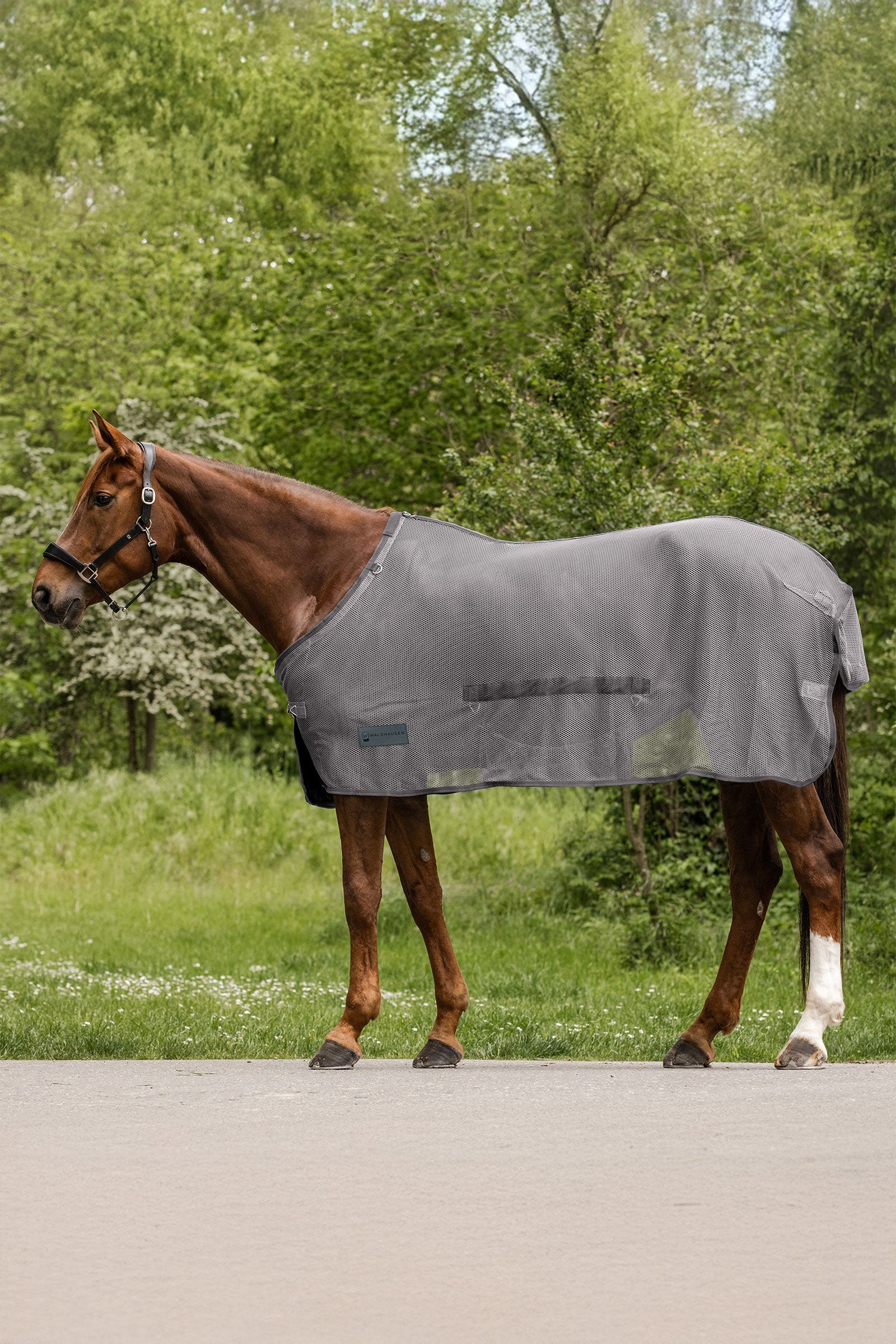 Waldhausen Comfort Fly Rug With Belly Flap Horse Rugs