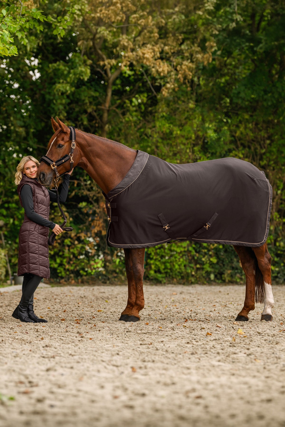 Waldhausen Phoenix Jersey Rug Horse Rugs