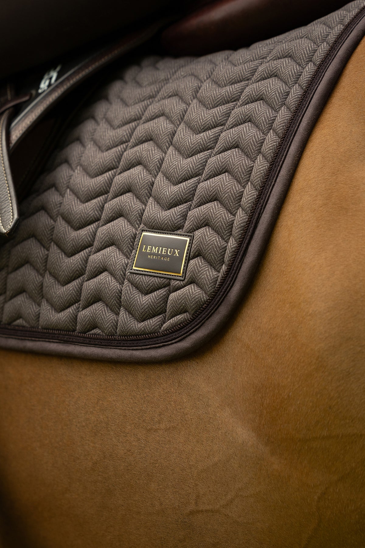 LeMieux Heritage Herringbone Jump Square Saddle Pad Saddle Pads