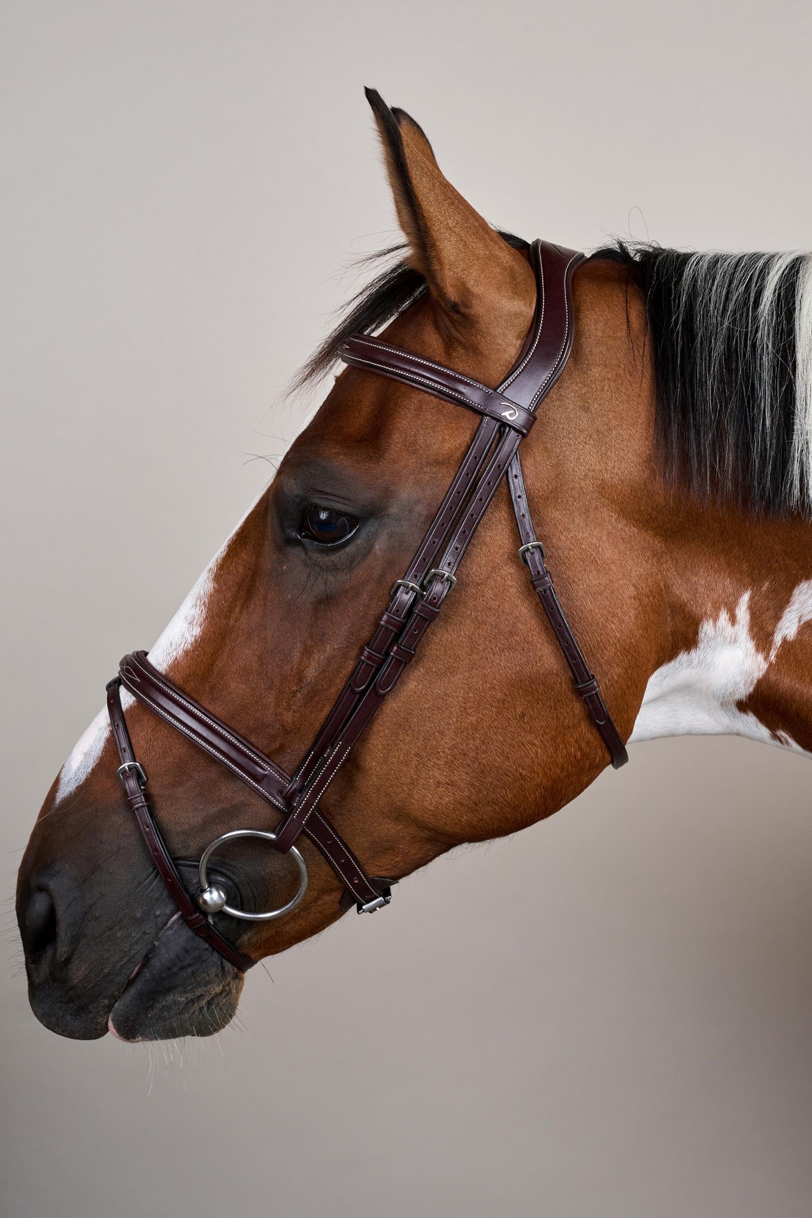 Dy'on US-Collection Flash Noseband Bridle Bridles & Reins