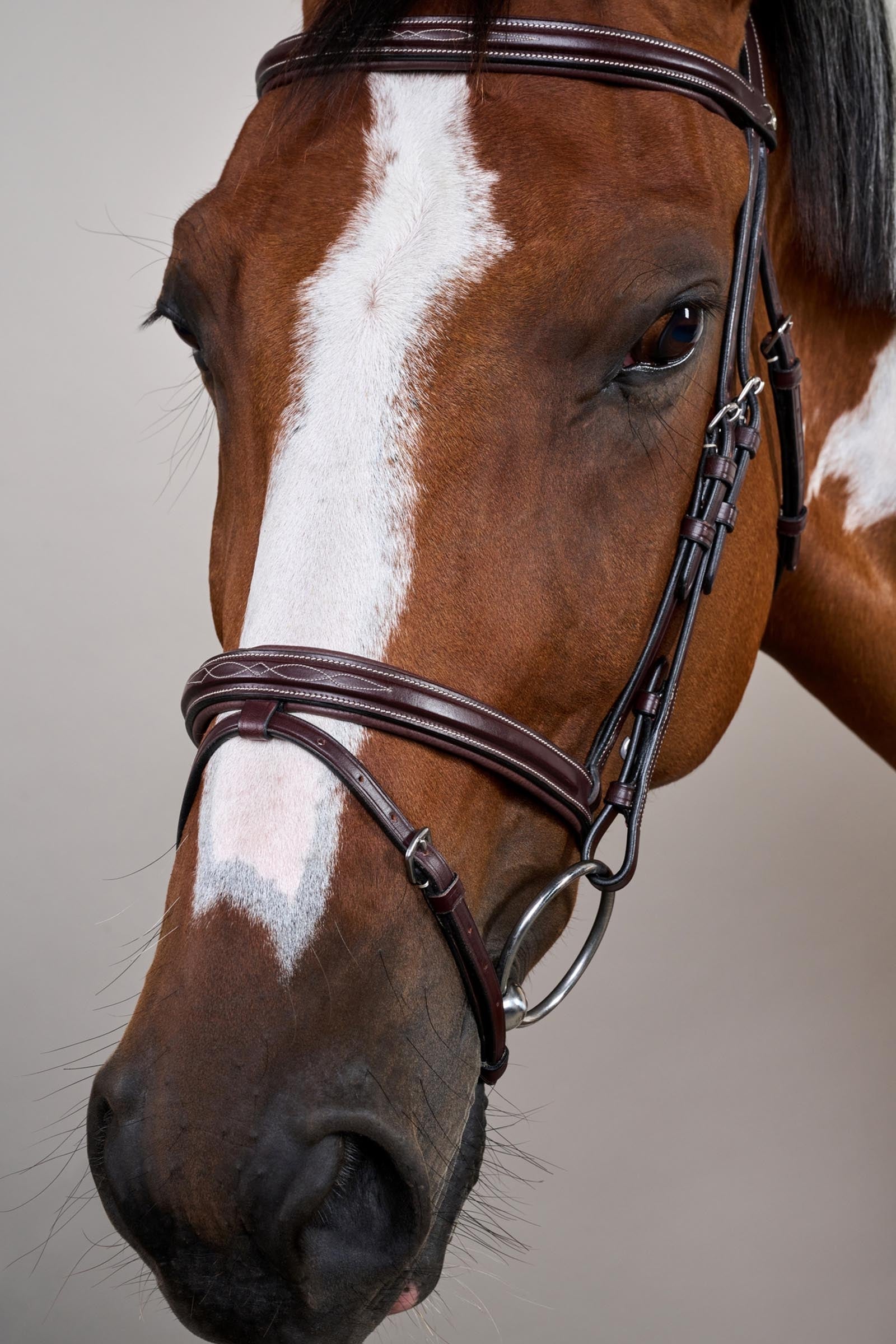Dy'on US-Collection Flash Noseband Bridle Bridles & Reins