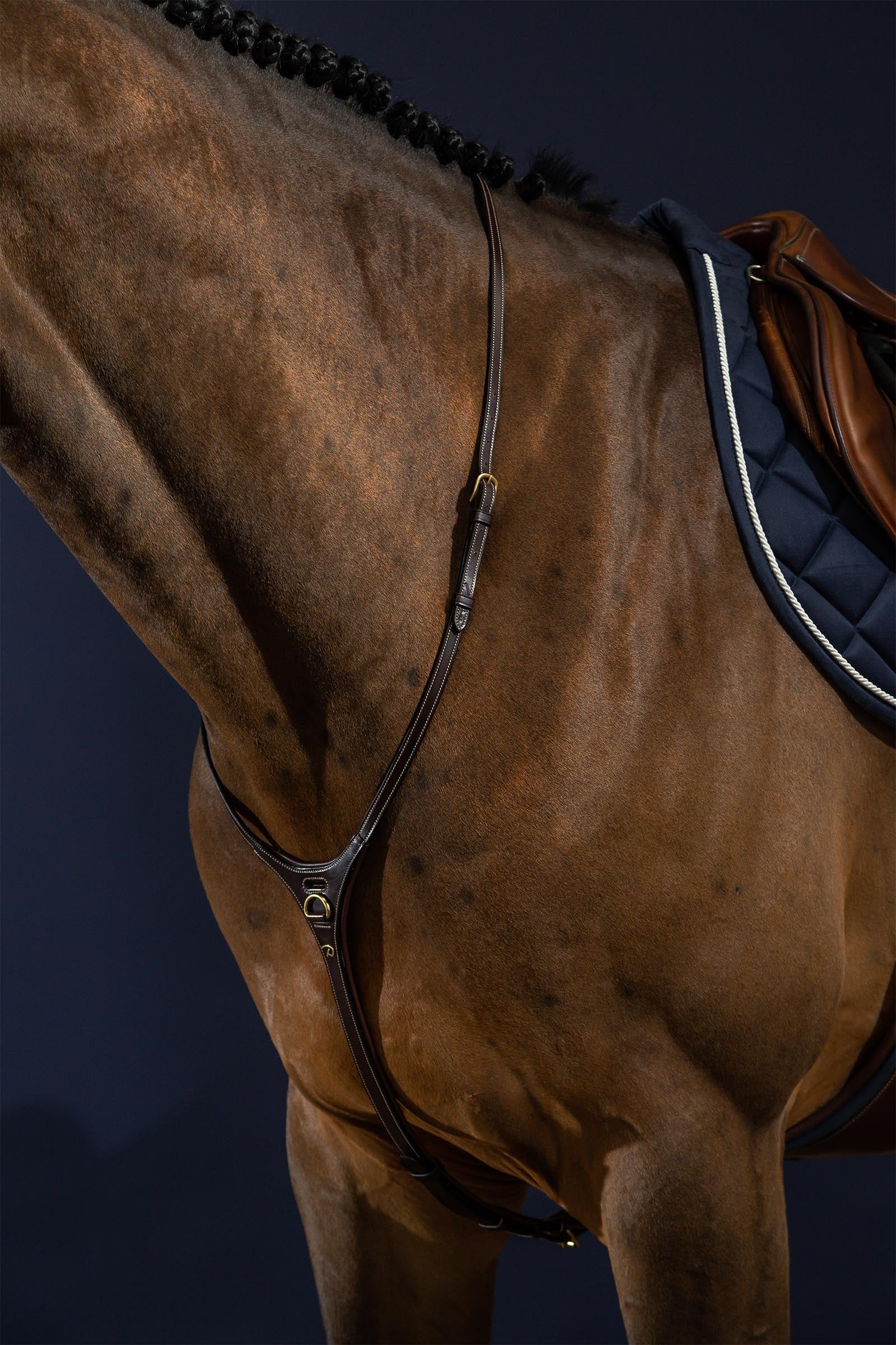 Dy'on D Collection Yoke  Bridles & Reins