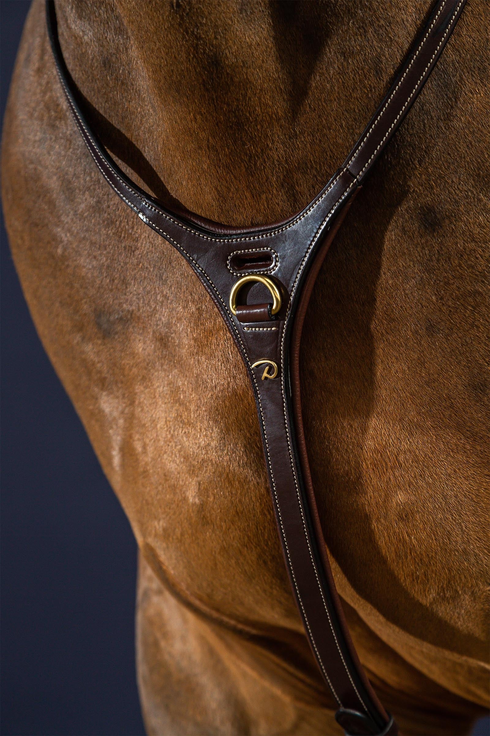 Dy'on D Collection Yoke  Bridles & Reins