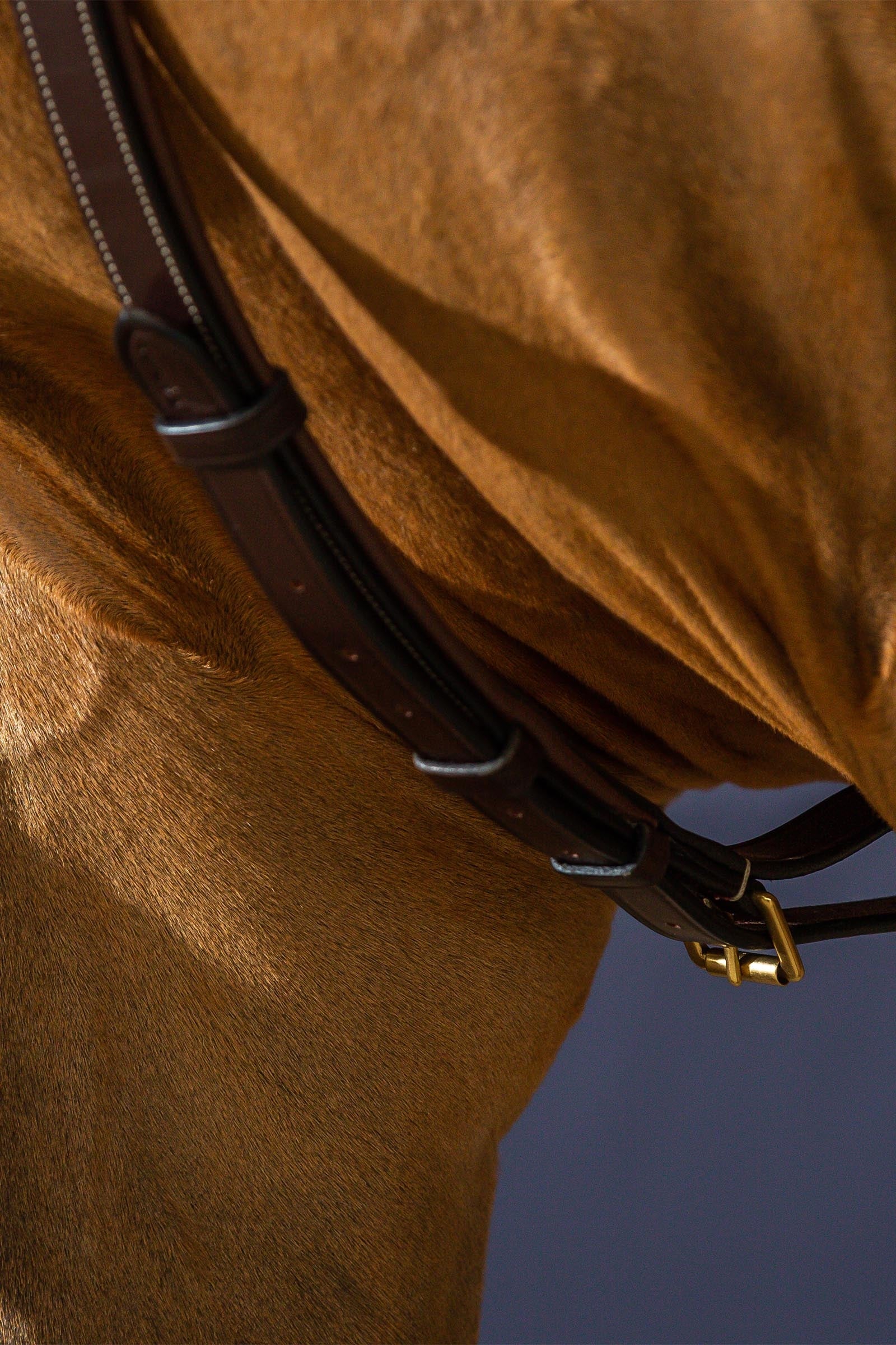 Dy'on D Collection Yoke  Bridles & Reins