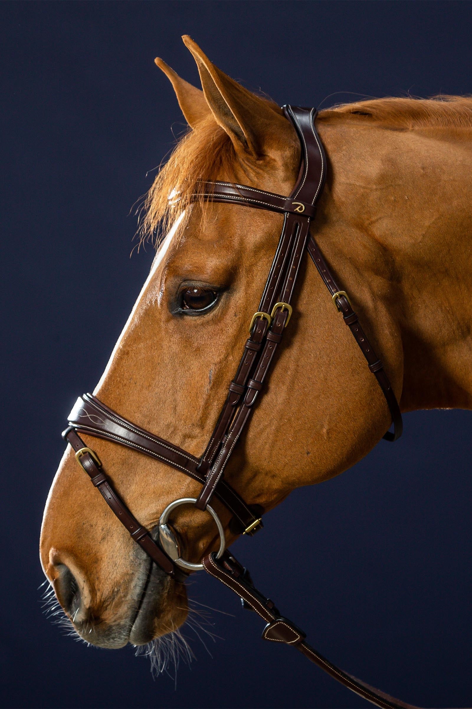 Dy'on D Collection Anatomical Bridle With Flash Noseband Bridles & Reins