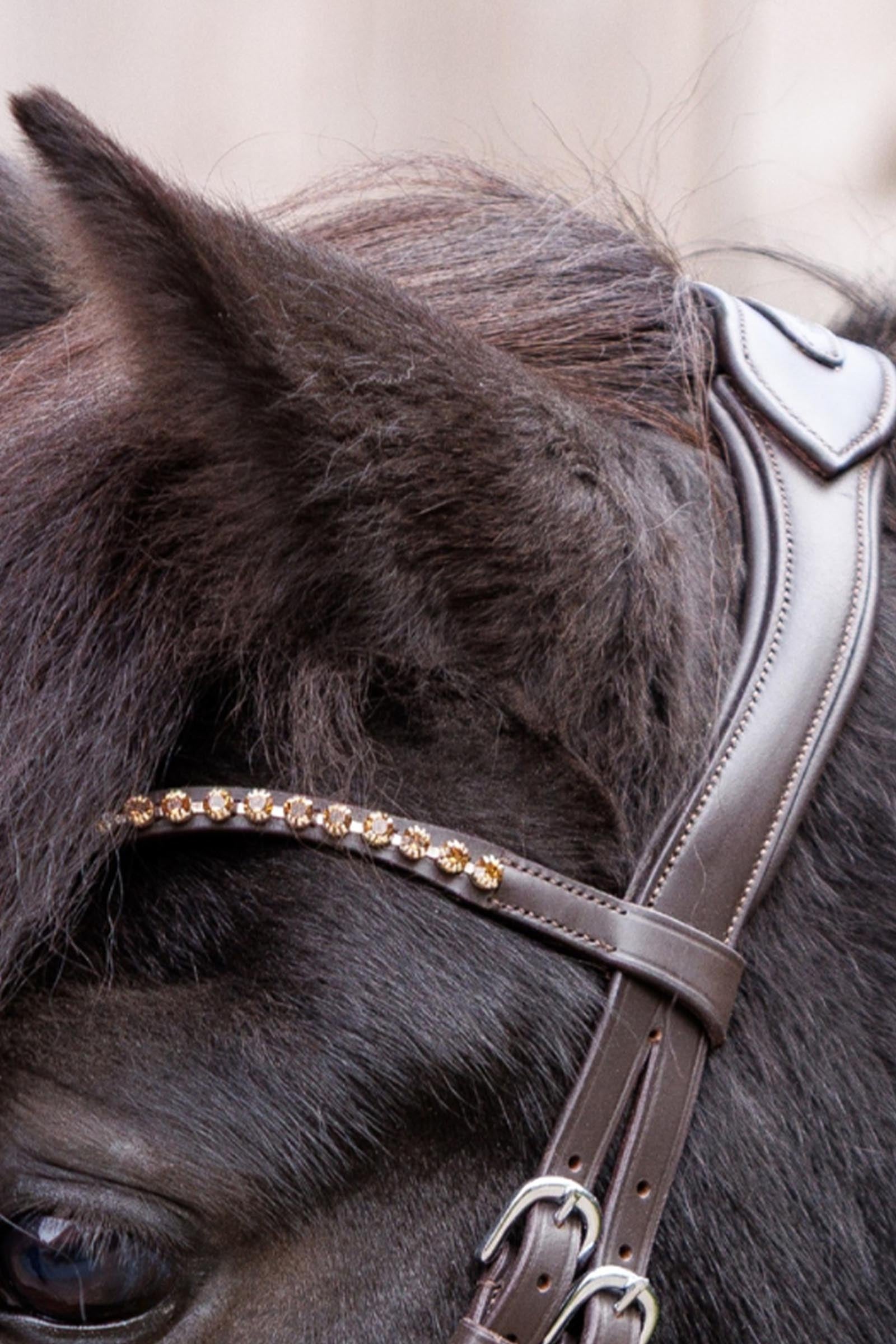 Kavalkade Jorunn Icelandic Bridle Bridles & Reins