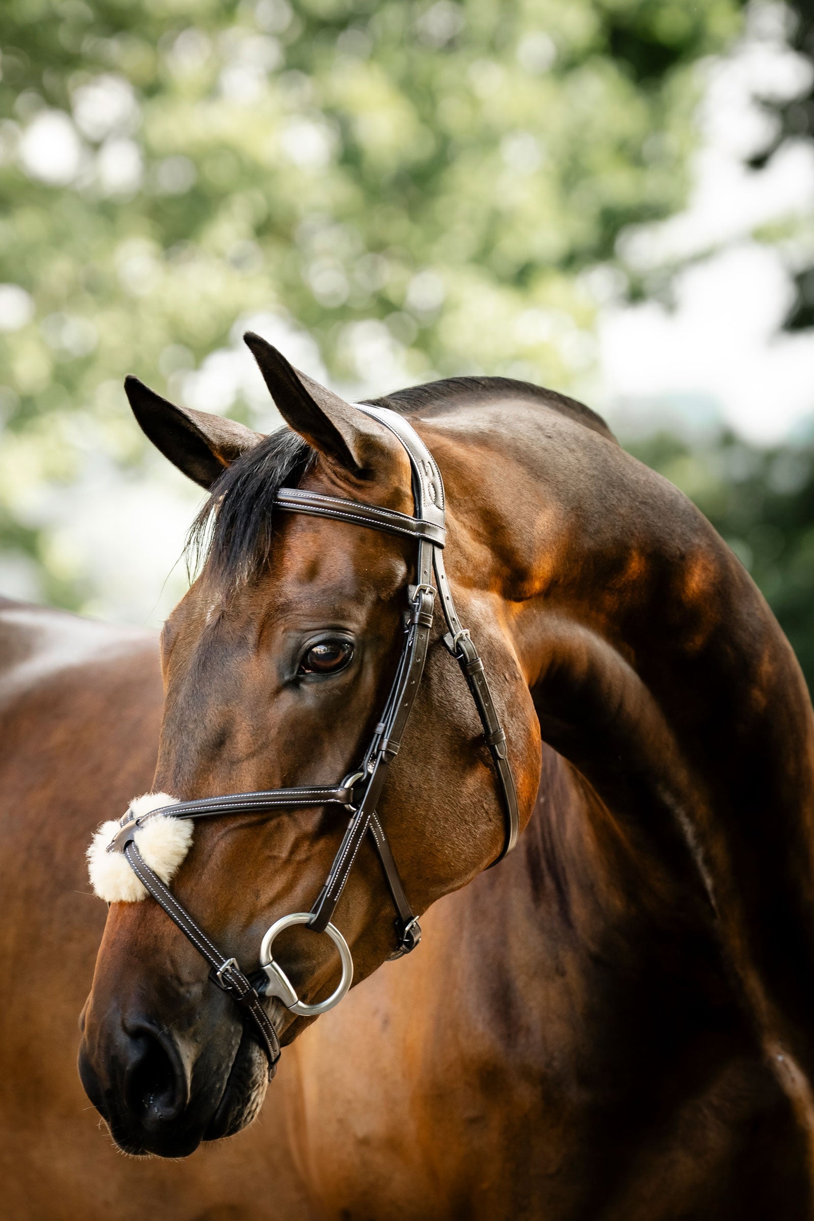 Horseware trense med ottetalsnæsebånd Trenser & tøjler