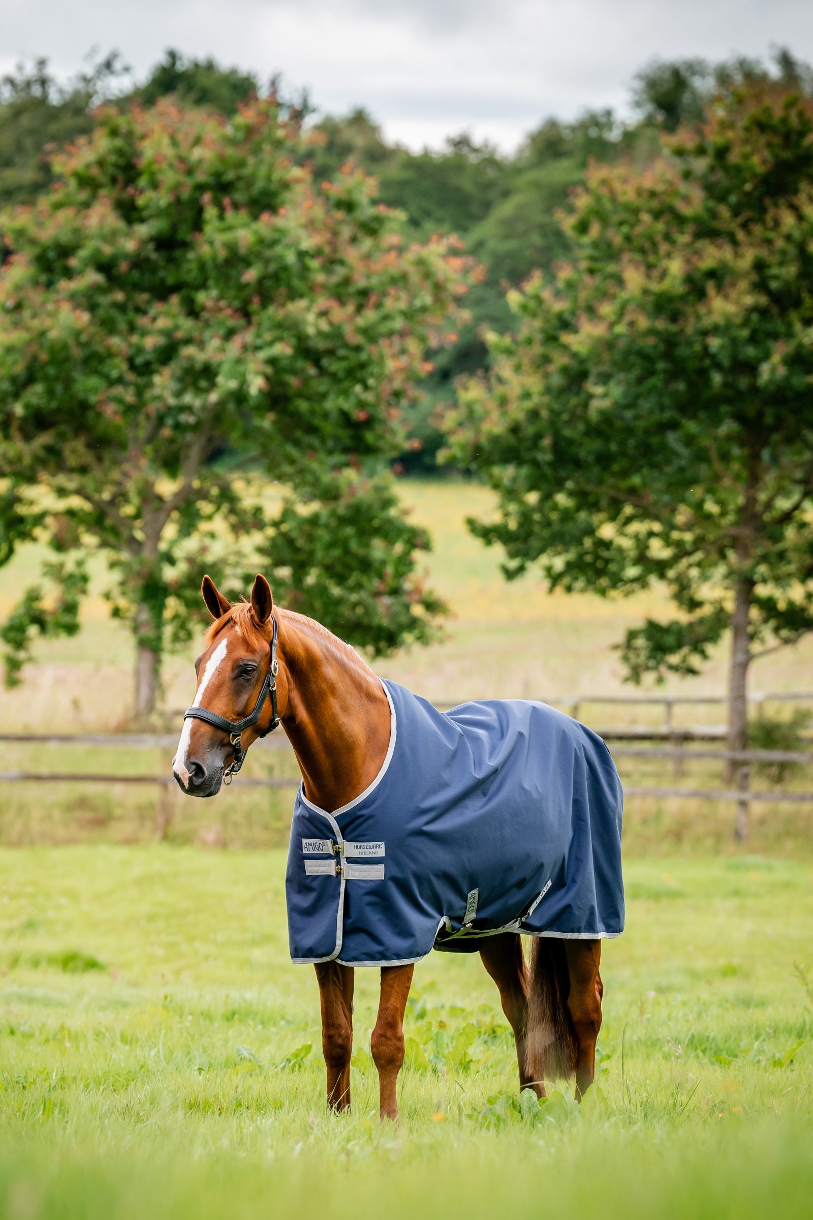 Horseware Amigo 900D Ripstop udedækken, 100 g Hestedækken