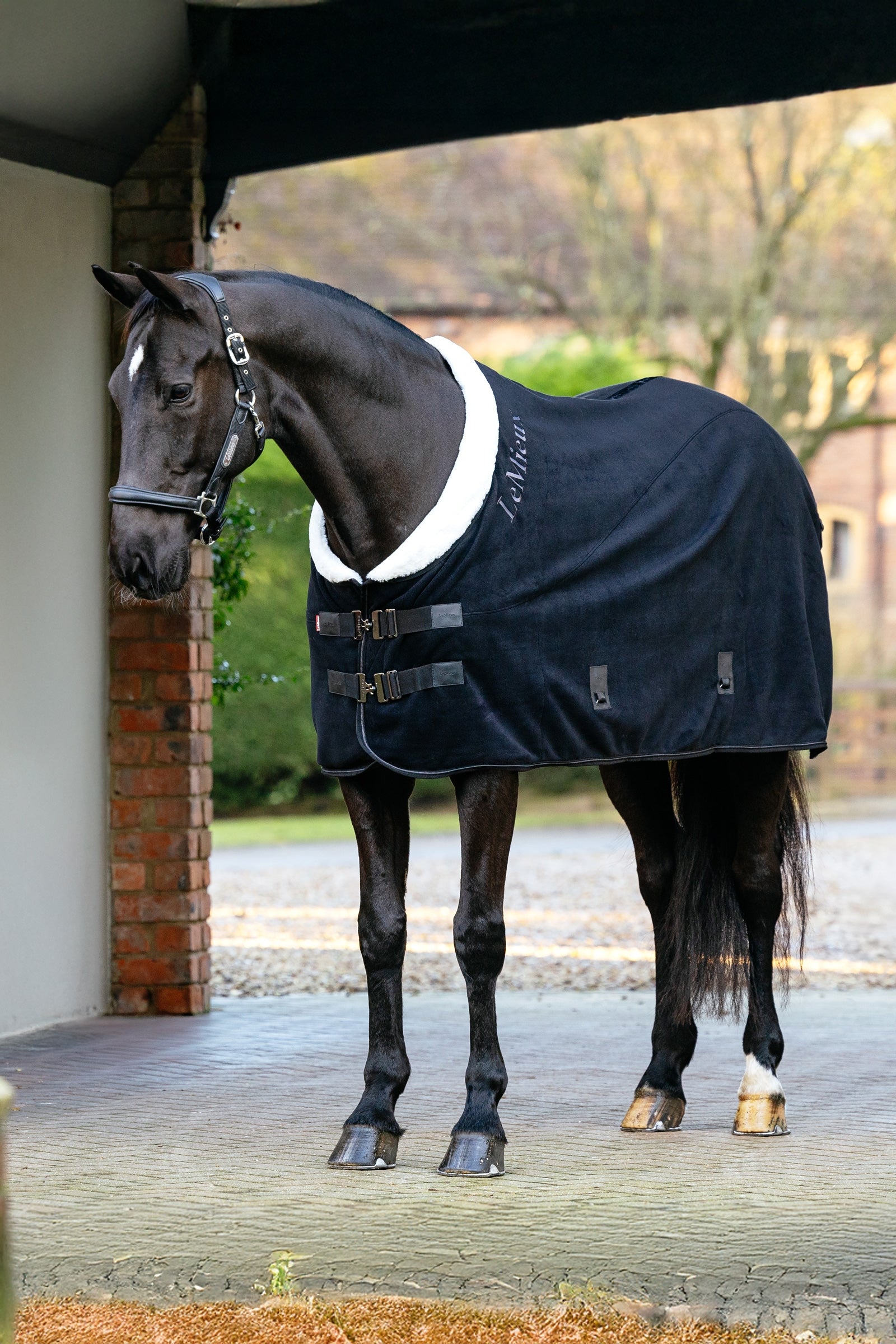 LeMieux Kudos Luxe Fleece-tæppe Hestedækken
