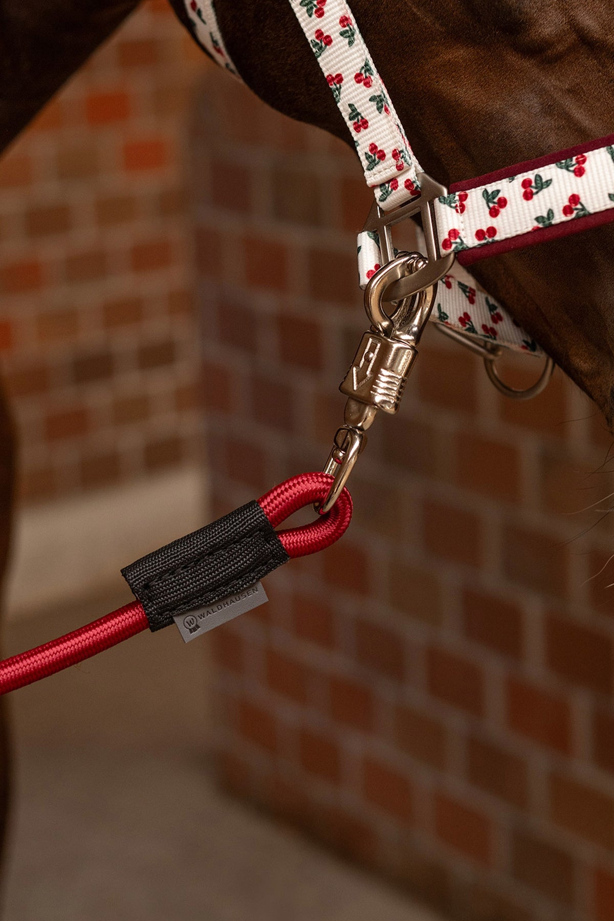 Waldhausen Elastic Trailer & Stable Tie (90 cm) Stable Equipment