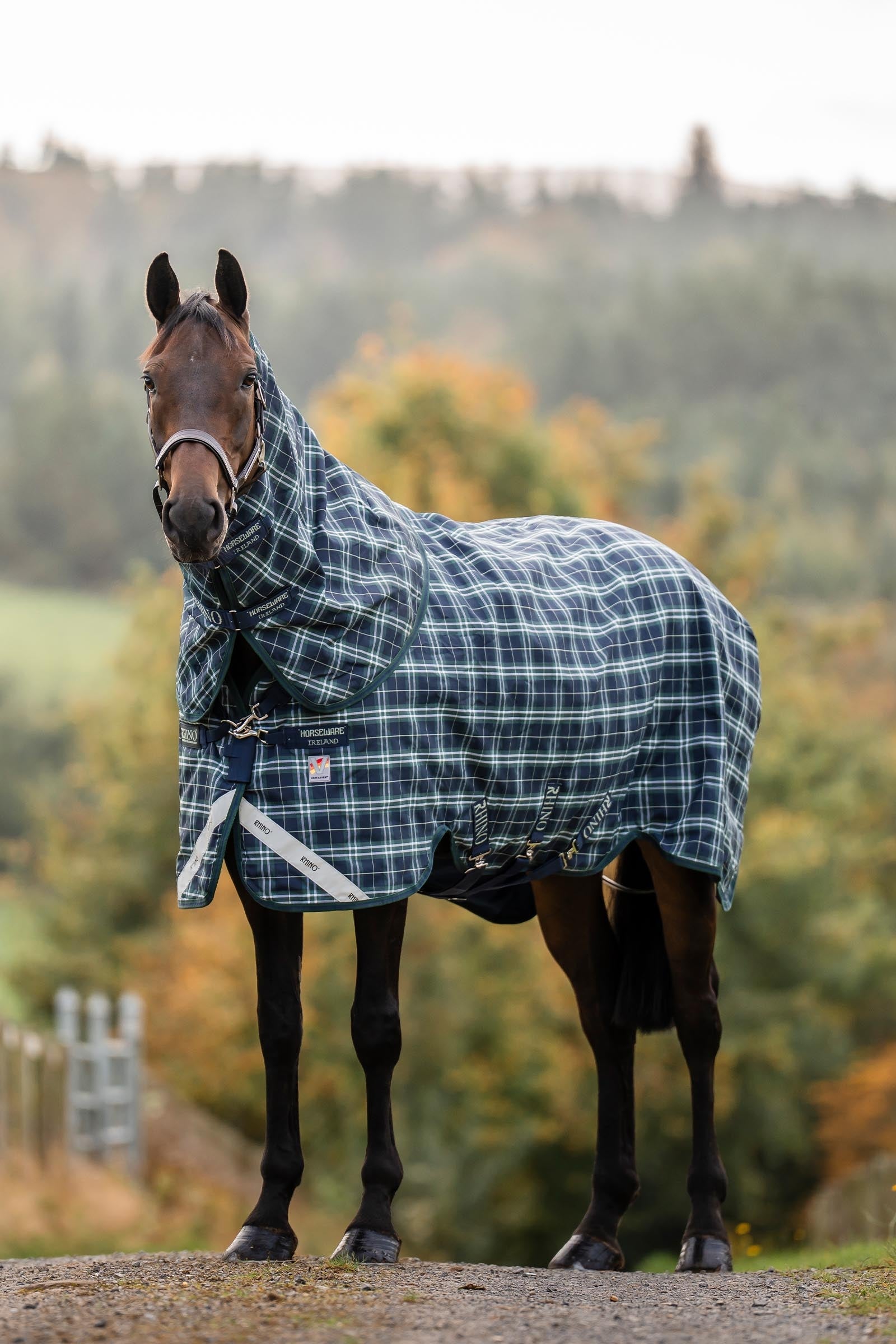 Horseware Rhino Plus Vari-Layer Turnout Rug With Detachable Neck, 250g Horse Rugs