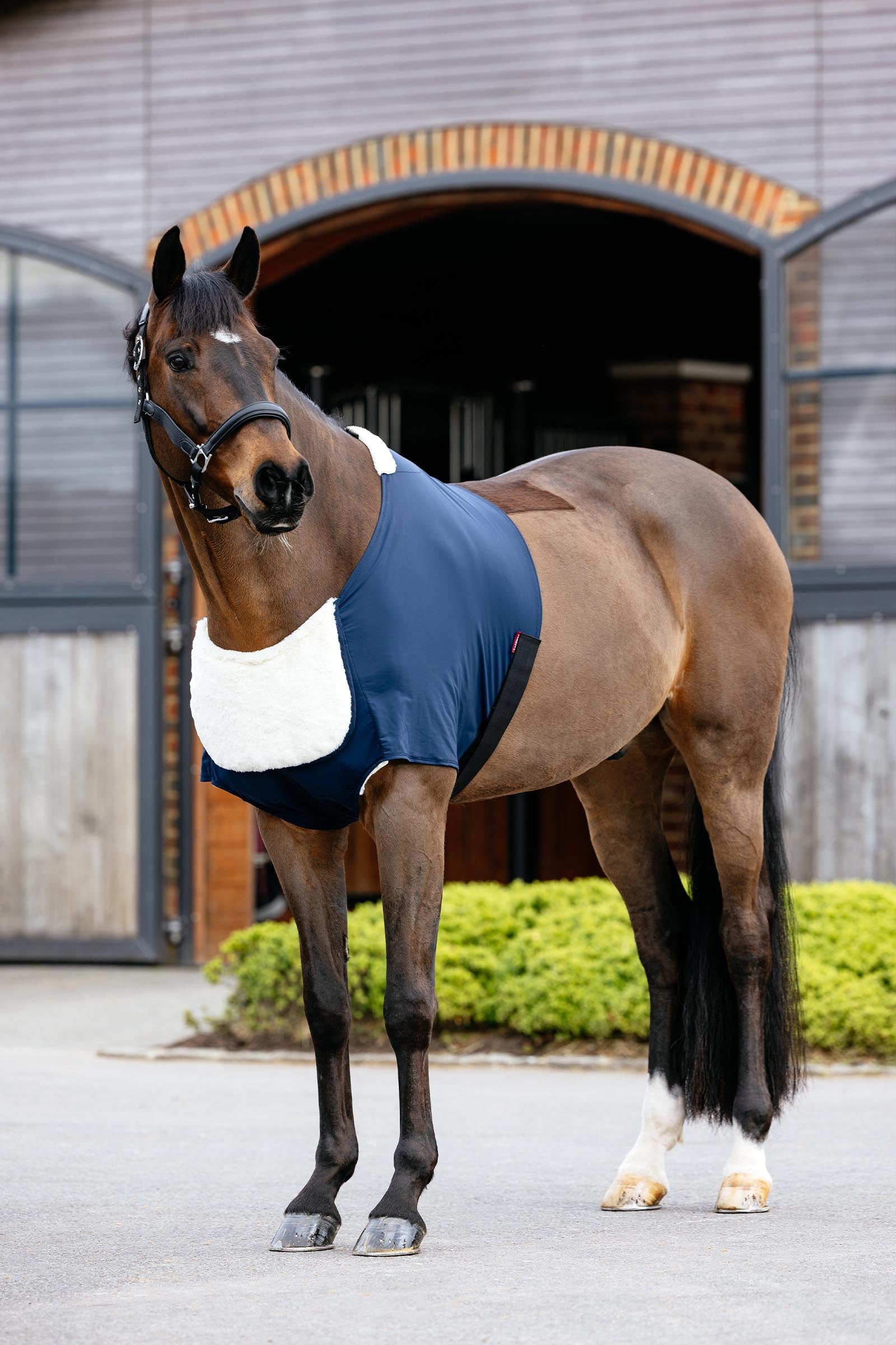 LeMieux Sensitive Friction-Free Chest Protector Horse Rugs