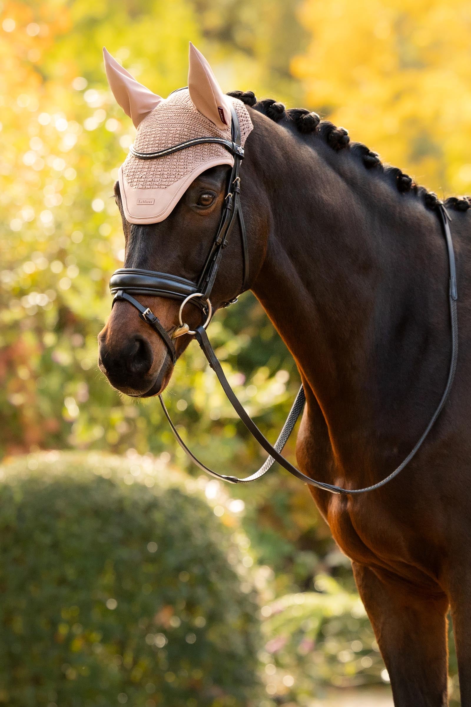 LeMieux Essence Fly Hood Saddle Pads