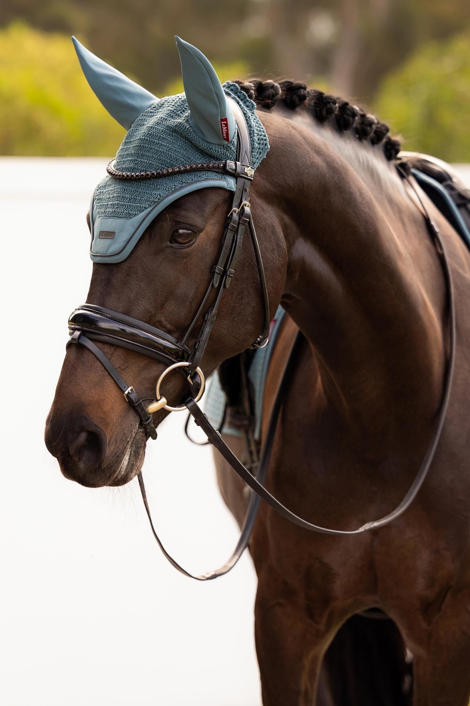 LeMieux Essence Fly Hood Saddle Pads