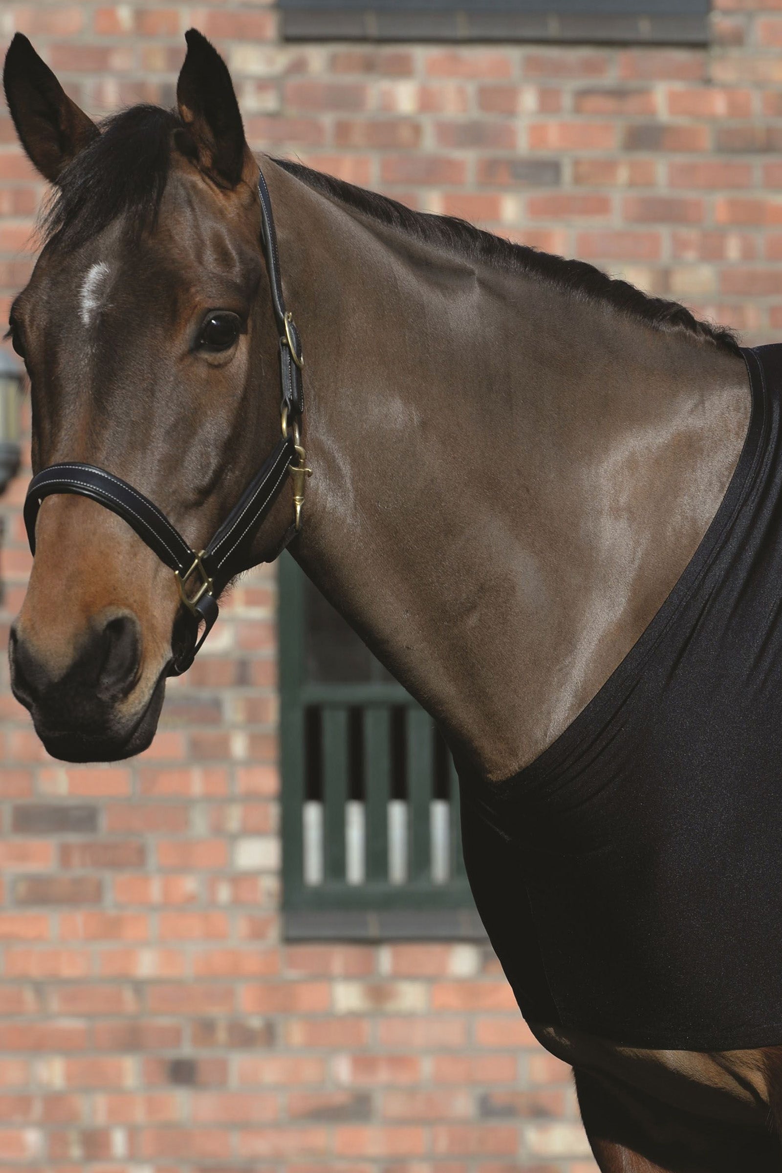 Weatherbeeta stretch skulder-undertrøje. Hestedækken