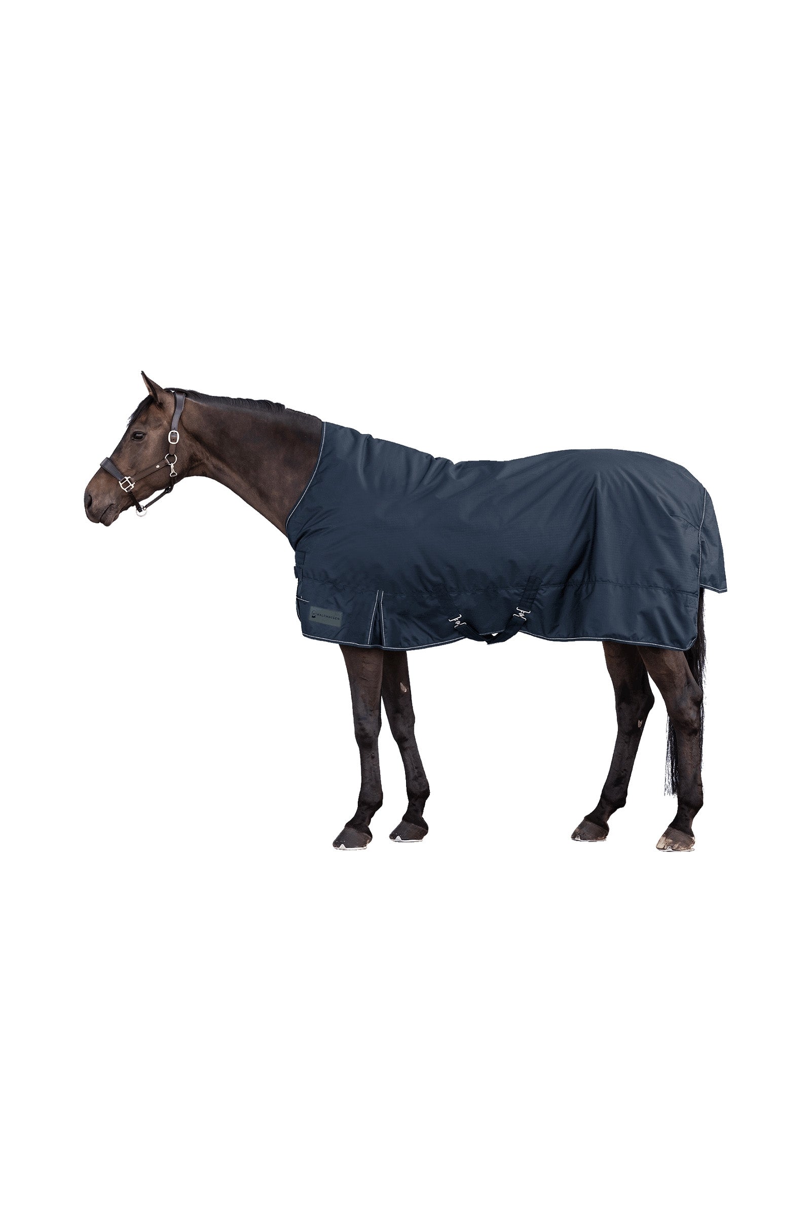 Waldhausen NORDIC Light High Neck Outdoor Rug Horse Rugs