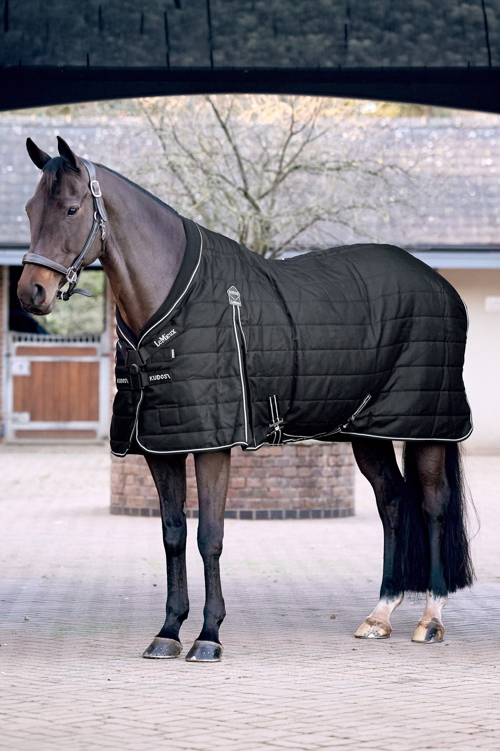 LeMieux Kudos ClimaCore Stable Rug With Neck, 100 g Horse Rugs