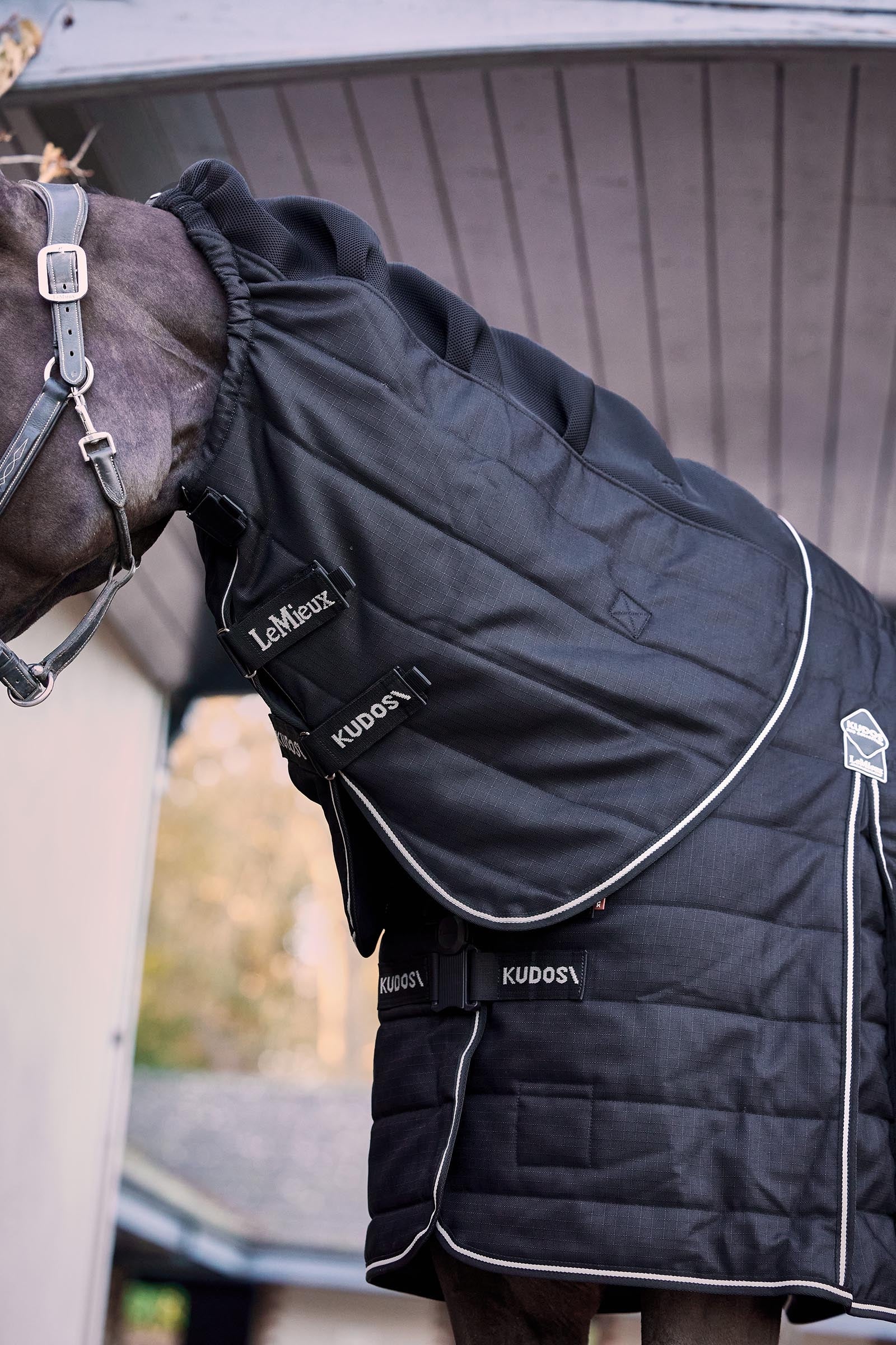 LeMieux Kudos ClimaCore Stable Rug With Neck, 100 g Horse Rugs
