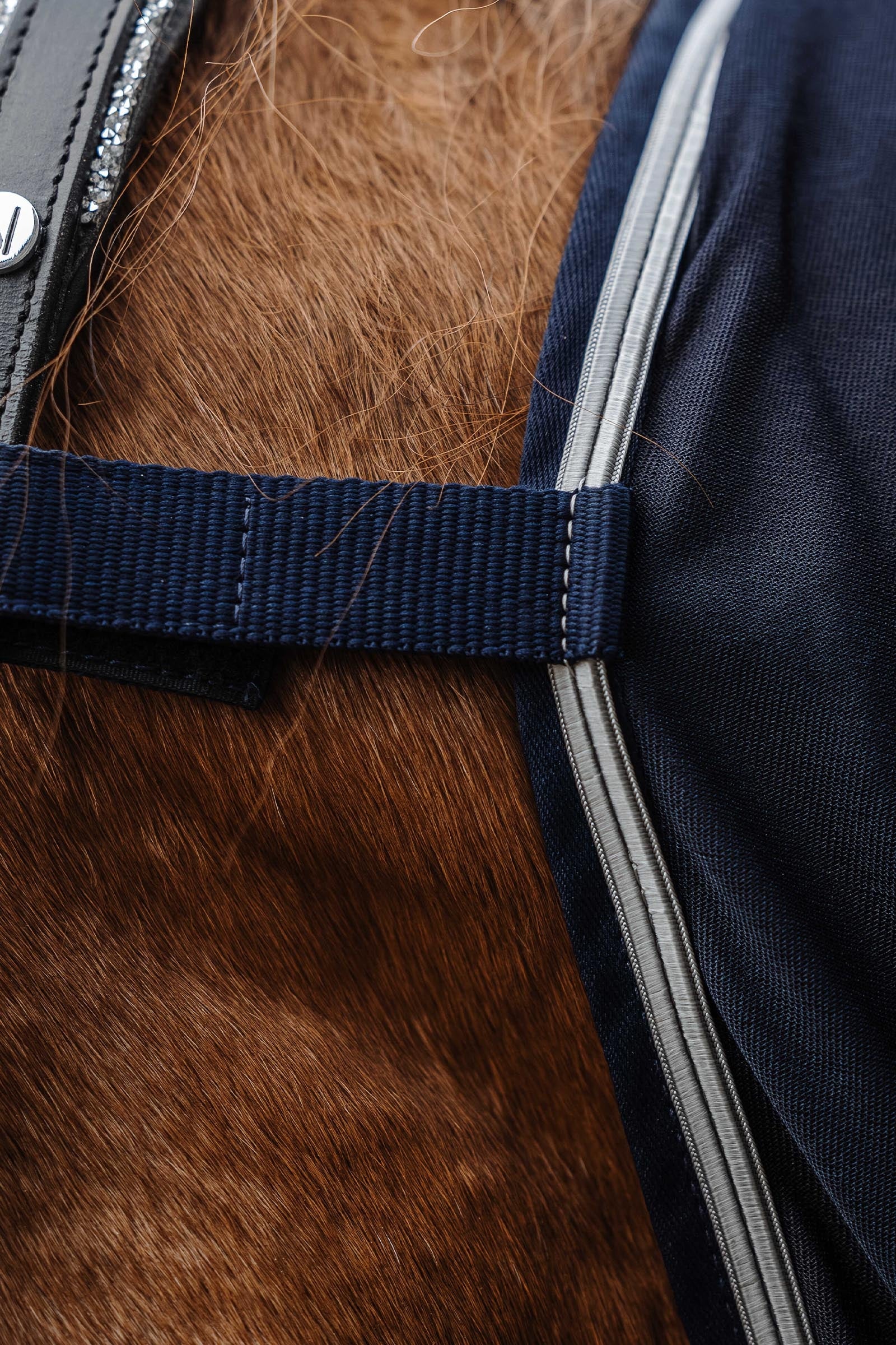 Equi Theme EQUITHÈME Micro Mesh Combo Sheet Horse Rugs