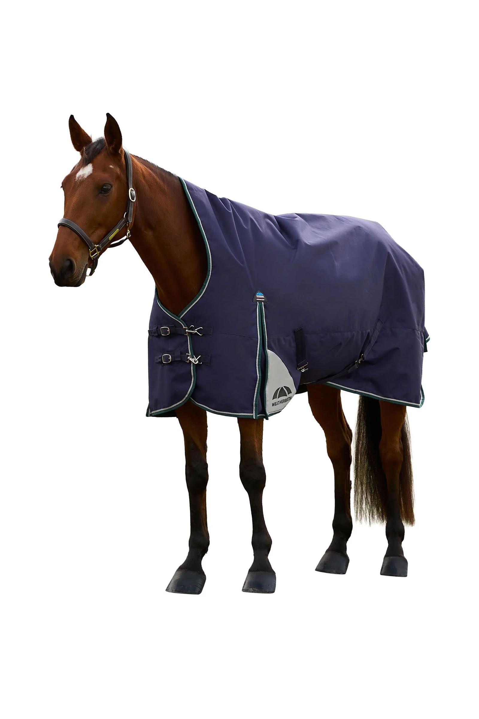 Weatherbeeta Comfitec Plus Dynamic Turnout Rug High Neck 0g Horse Rugs