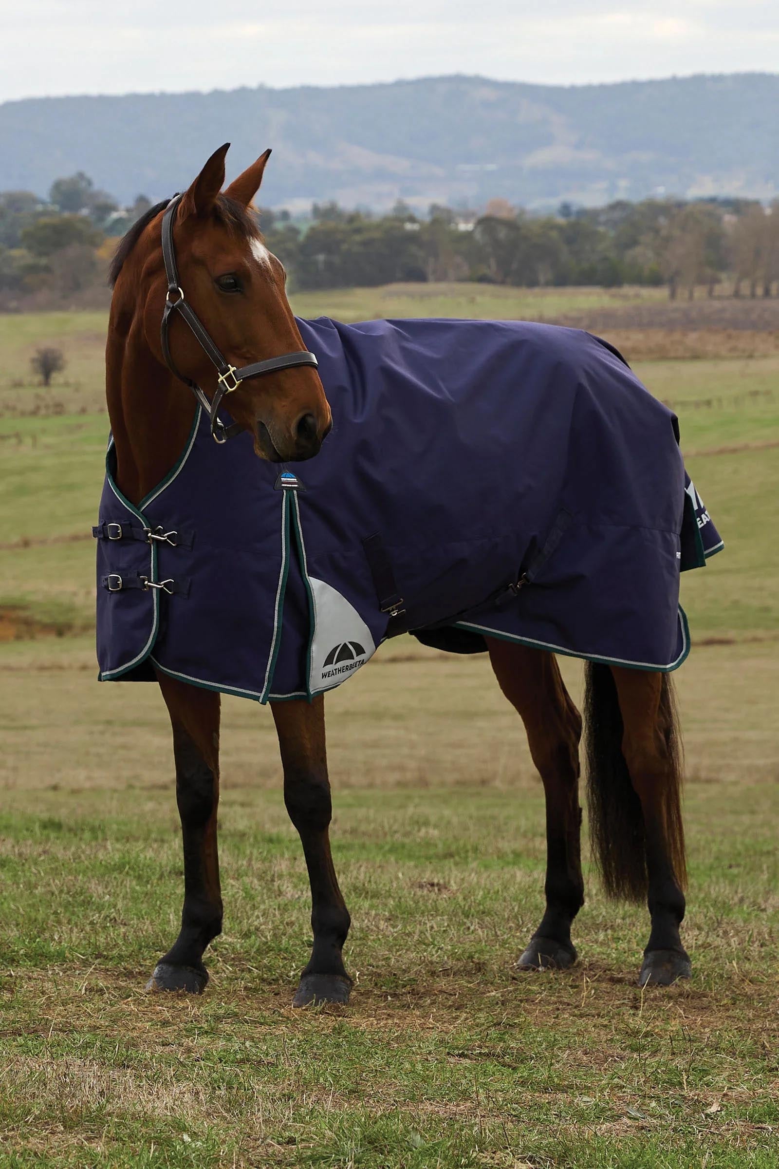 Weatherbeeta Comfitec Plus Dynamic Turnout Rug High Neck 0g Horse Rugs