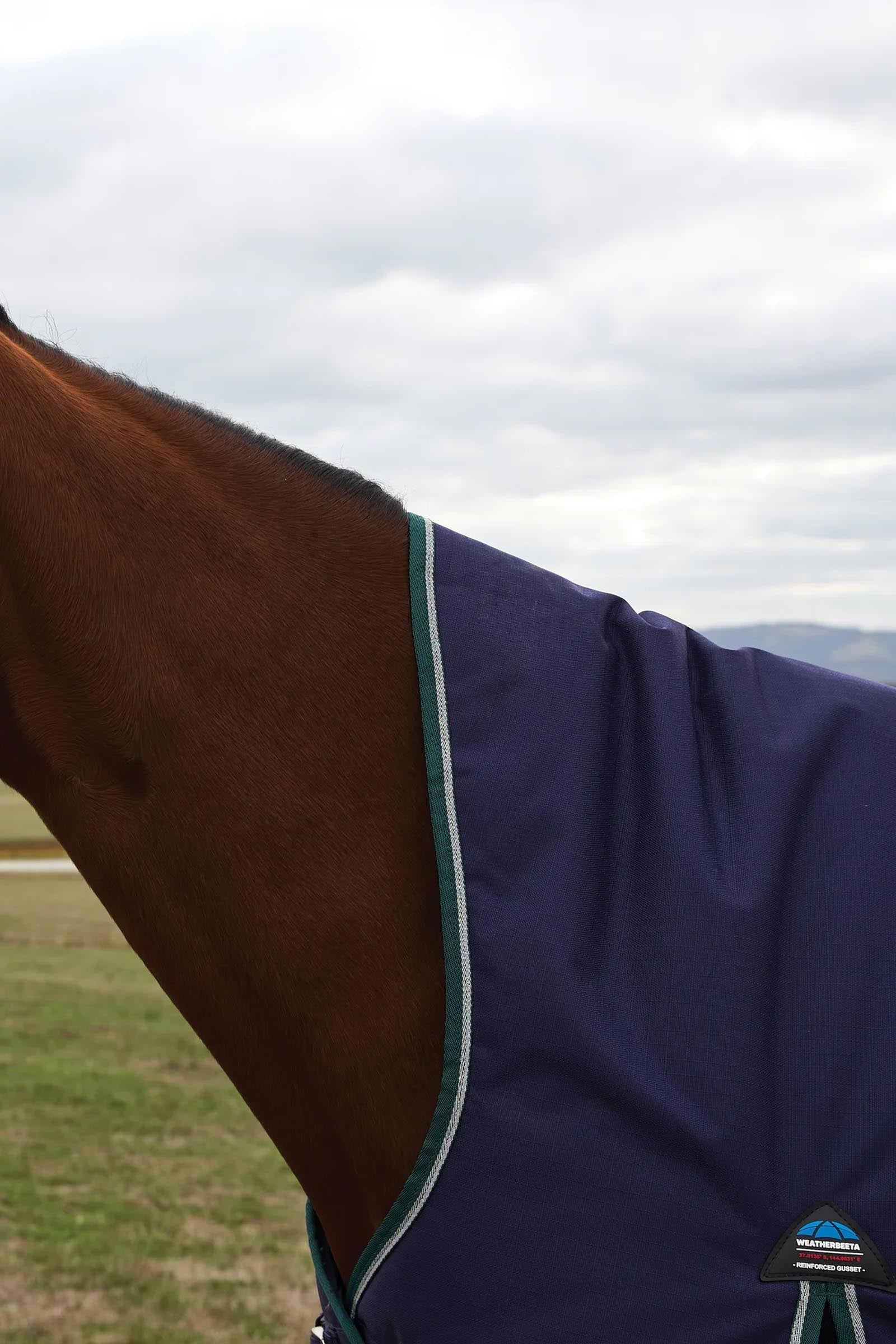 Weatherbeeta Comfitec Plus Dynamic Turnout Rug High Neck 0g Horse Rugs