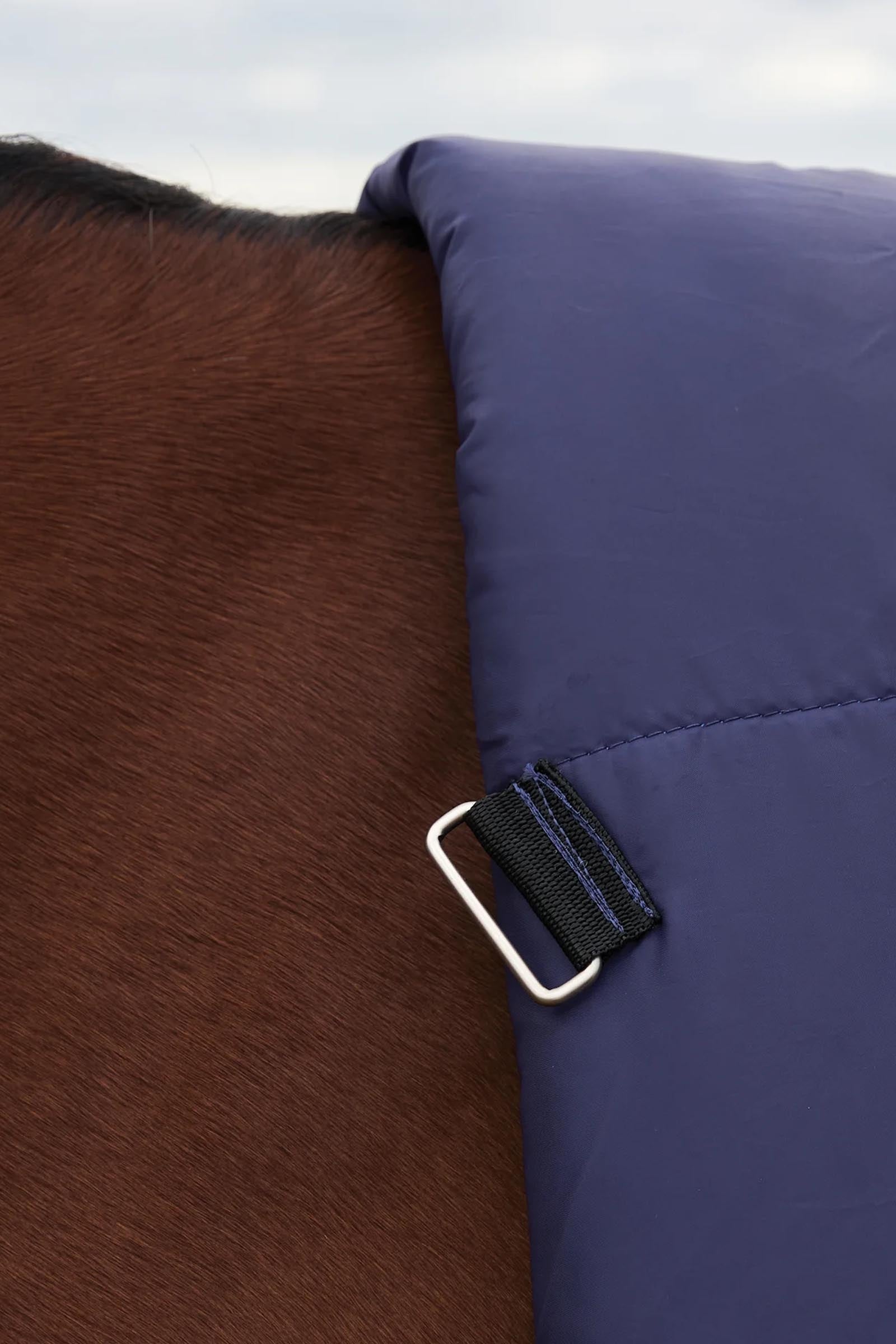 Weatherbeeta Comfitec Plus Dynamic Turnout Rug High Neck 0g Horse Rugs