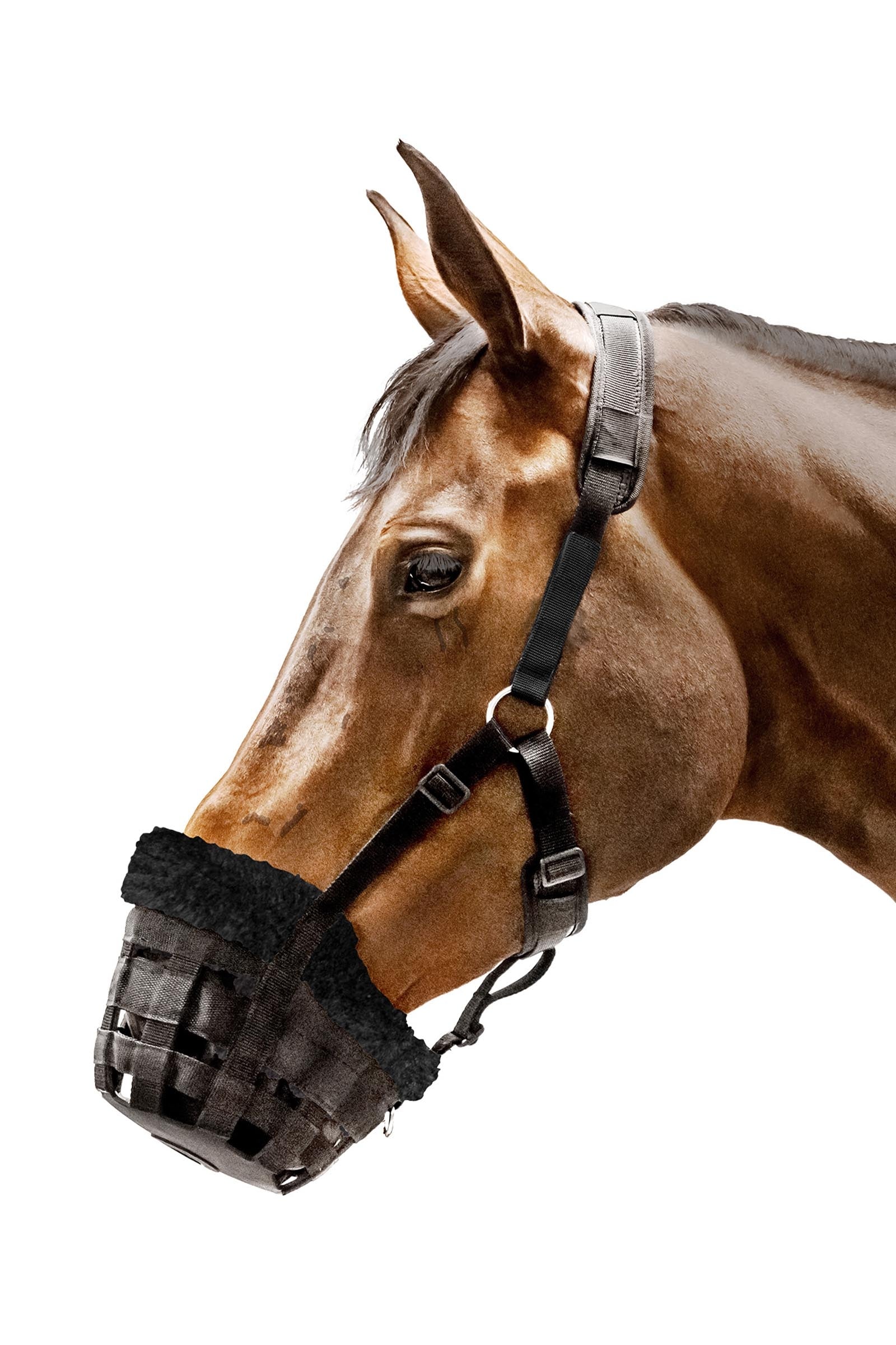 Waldhausen Comfort Muzzle Halters & Leads