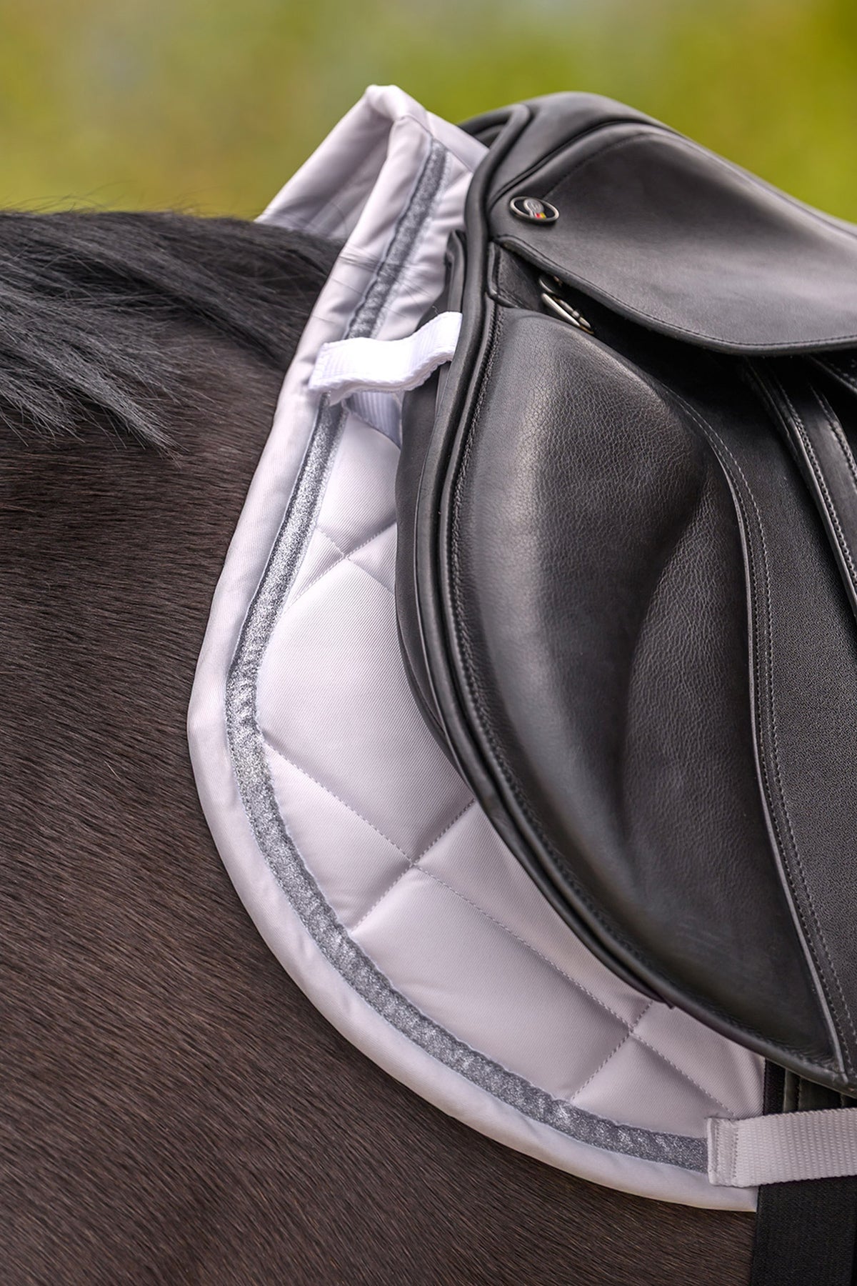 Waldhausen Competition All Purpose Pad Saddle Pads