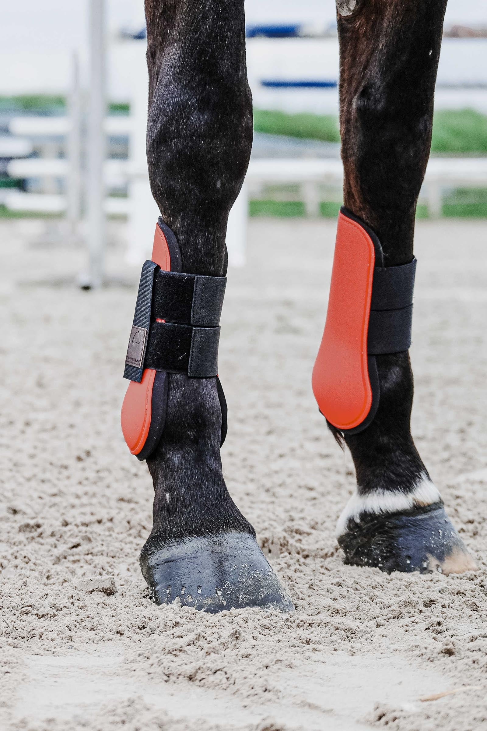 EQUITHÈME Tara Tendon Boots Leg & Hoof Protection