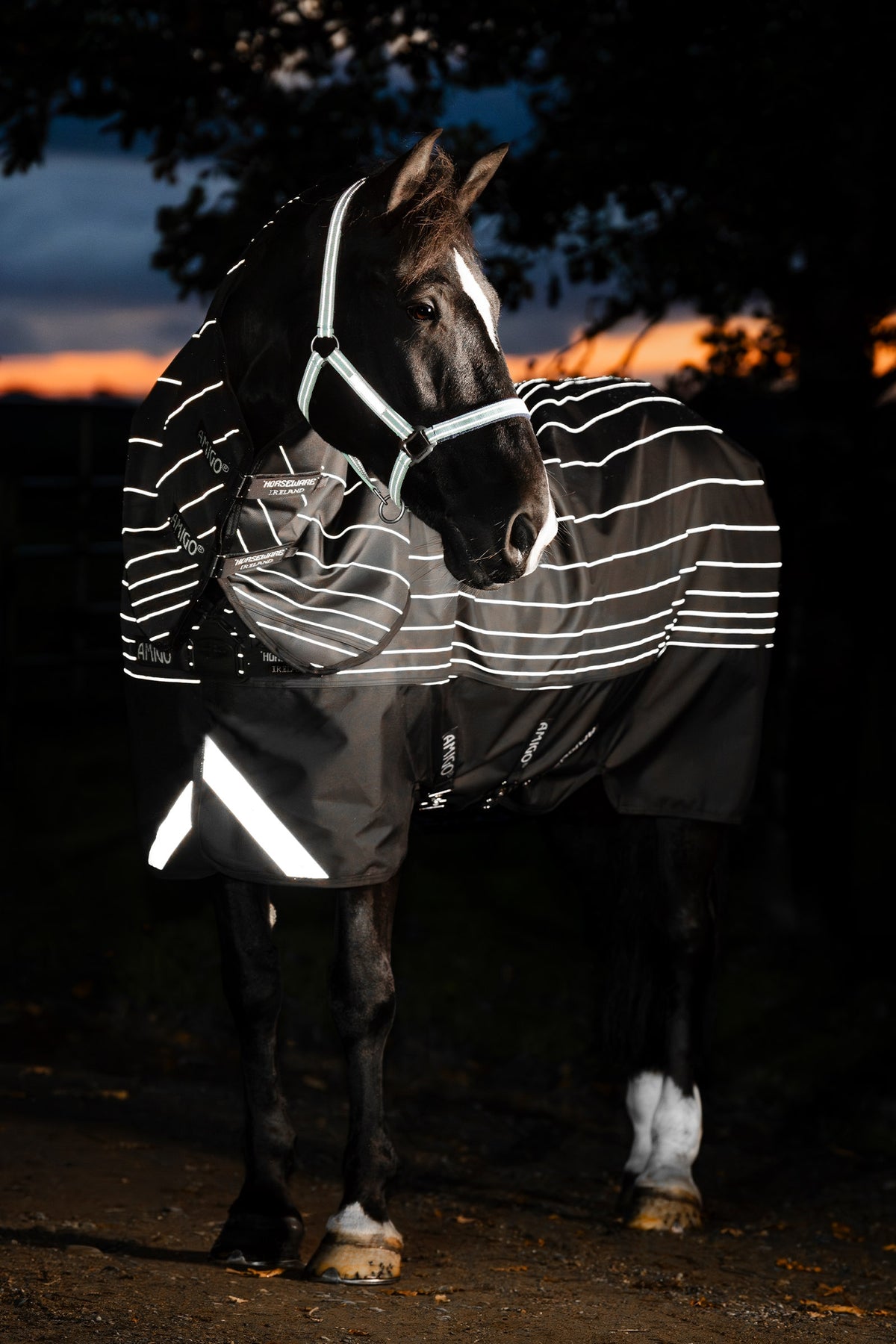 Horseware Amigo 1200D FieldSafe Reflectech Plus Turnout With Detachable Neck, 0 g Horse Rugs