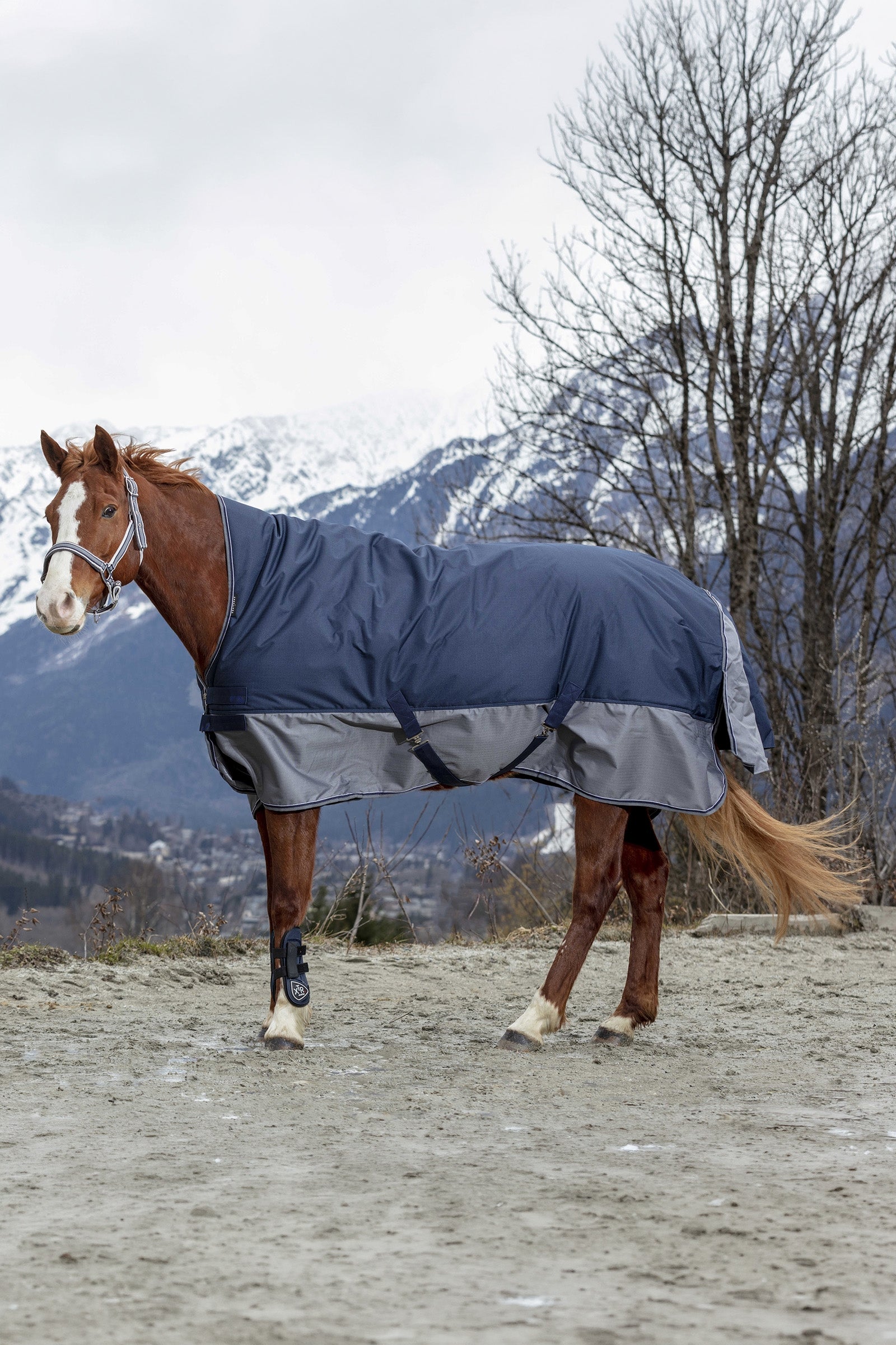 Equi Theme EQUITHÈME TYREX 600D High Neck Rug, 300 g Horse Rugs