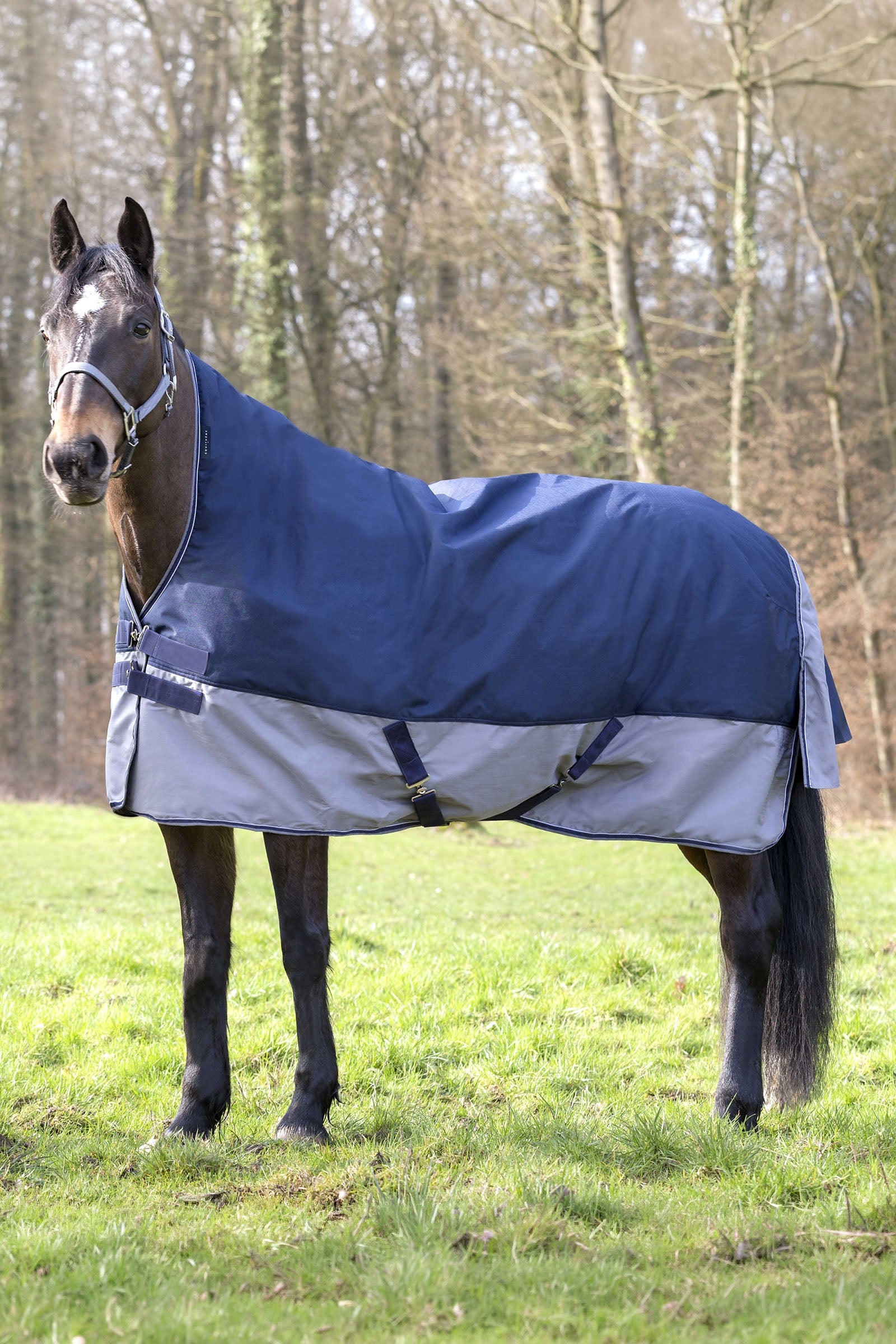 Equi Theme EQUITHÈME TYREX 600D High Neck Rug, 300 g Horse Rugs