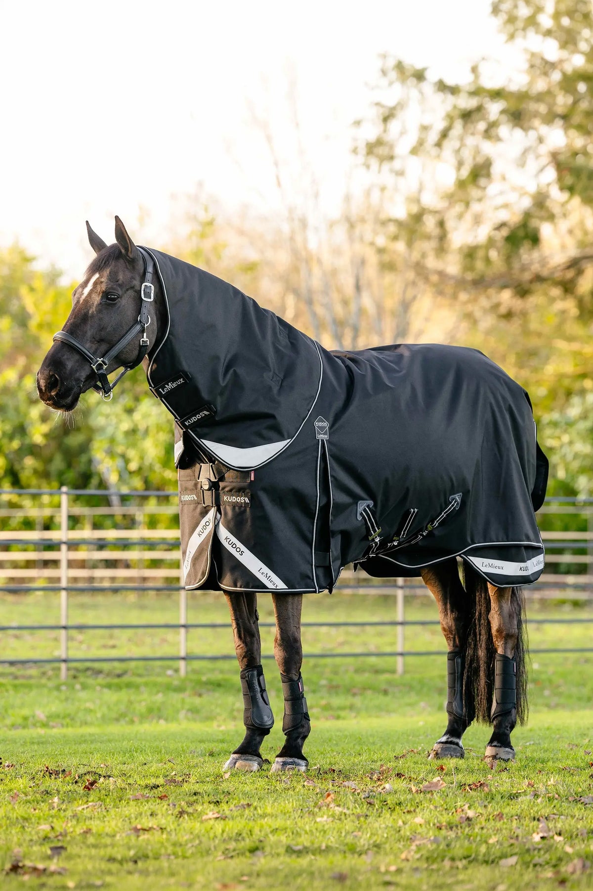 LeMieux Kudos Neo-Turnout Rug W. Detachable Neck, 200 g Horse Rugs