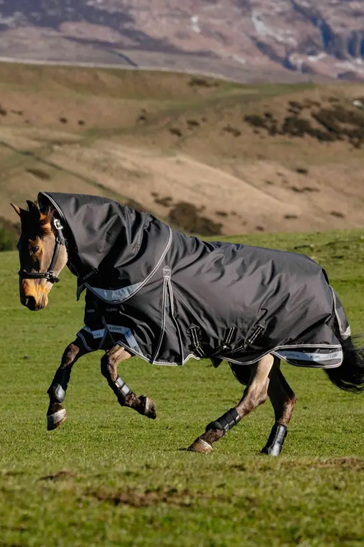 LeMieux Kudos Neo-Turnout Rug W. Detachable Neck, 200 g Horse Rugs