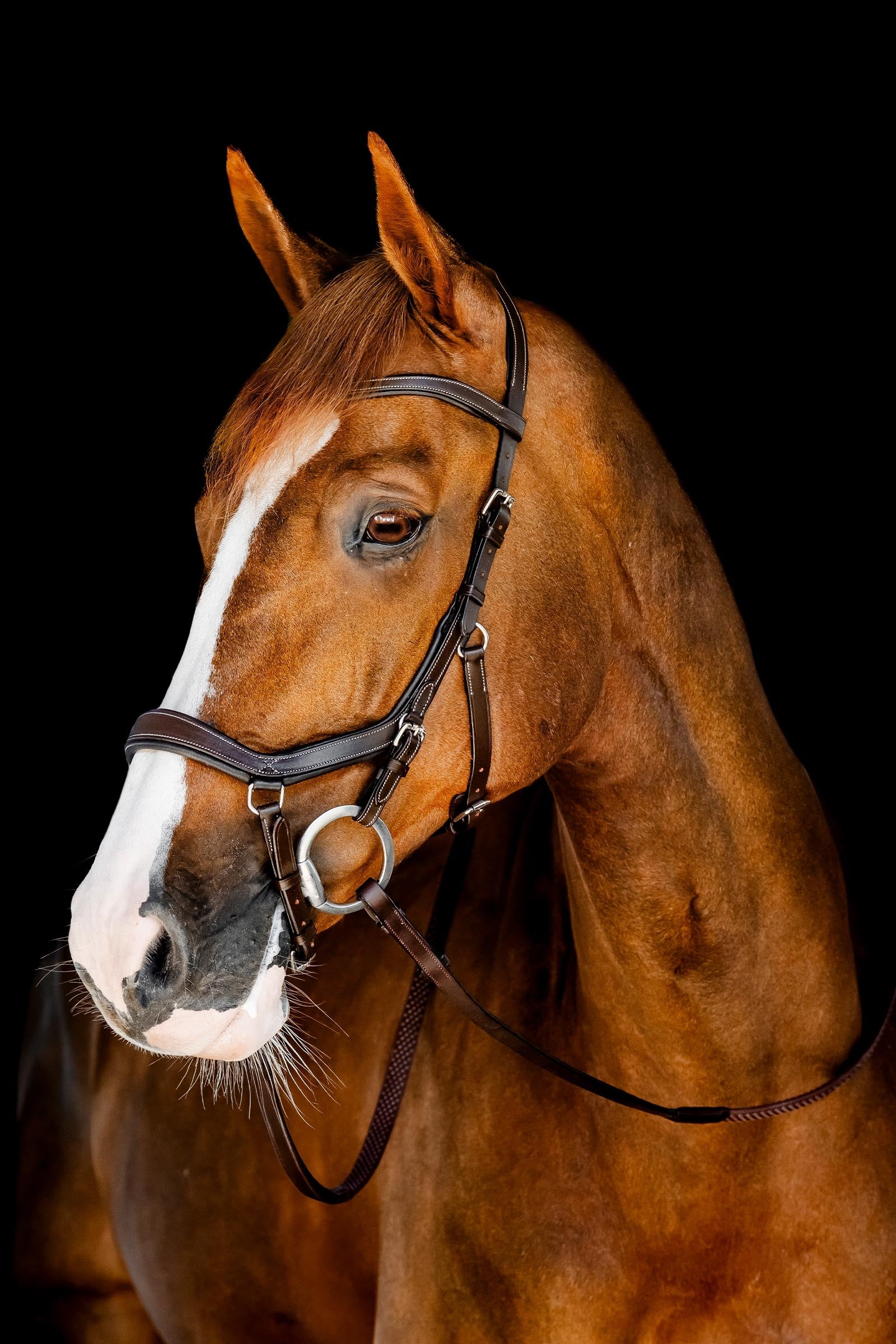 Horseware Rambo Micklem Competition trense Trenser & tøjler