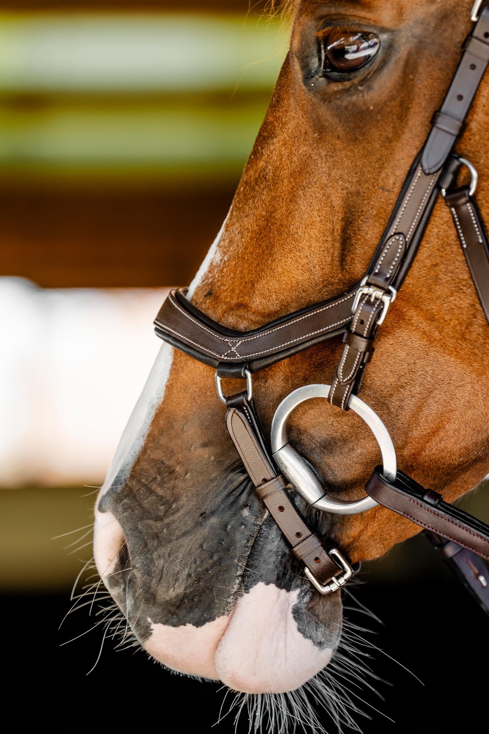 Horseware Rambo Micklem Competition Bridle Bridles & Reins