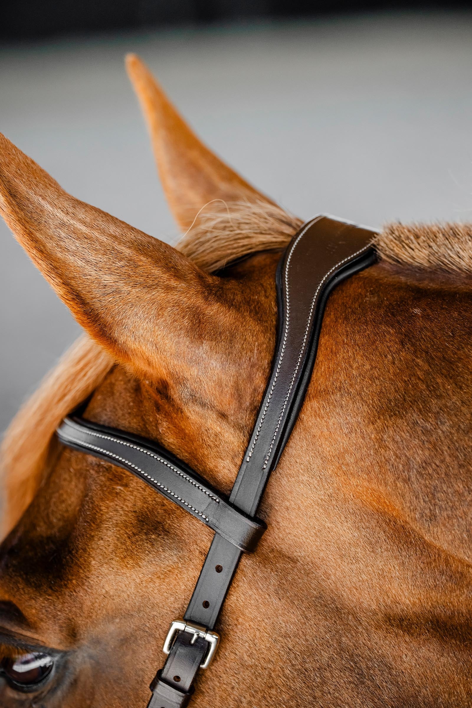 Horseware Rambo Micklem Competition Bridle Bridles & Reins