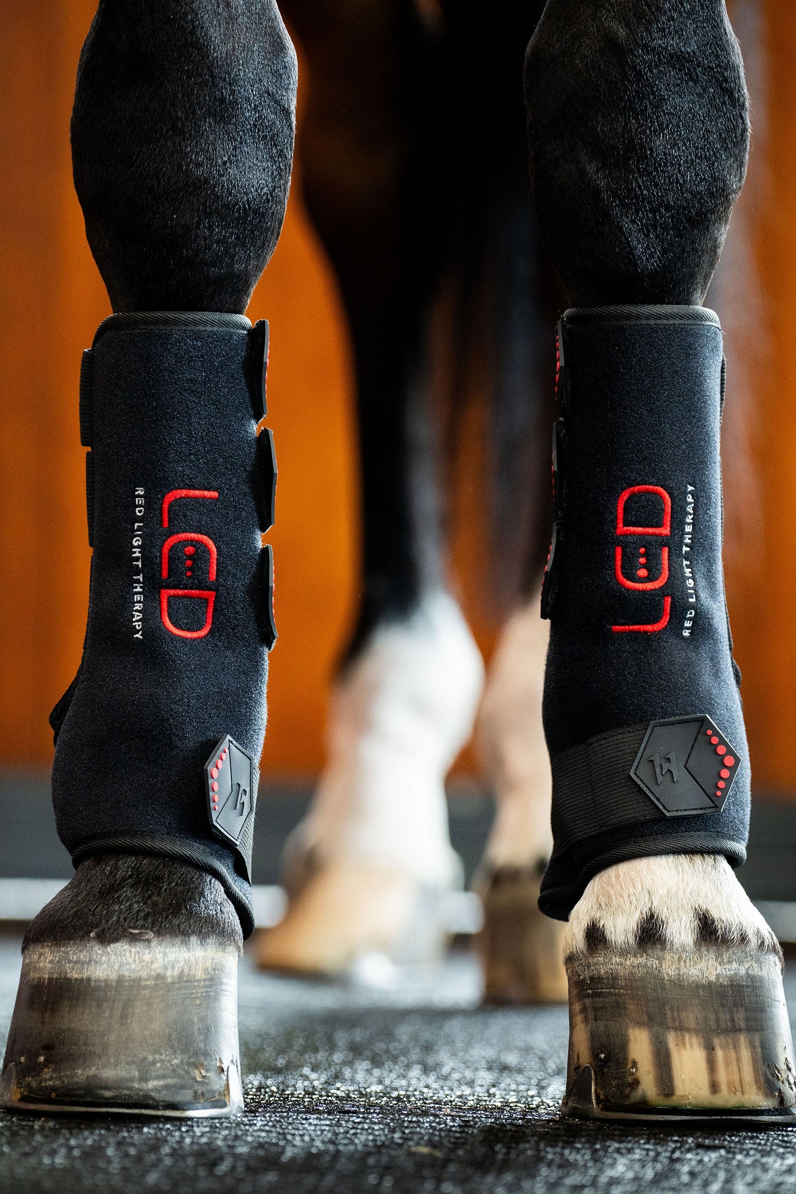 Horseware LED rødlysterapi hesteboot (1 stk.) Leg & Hoof Protection
