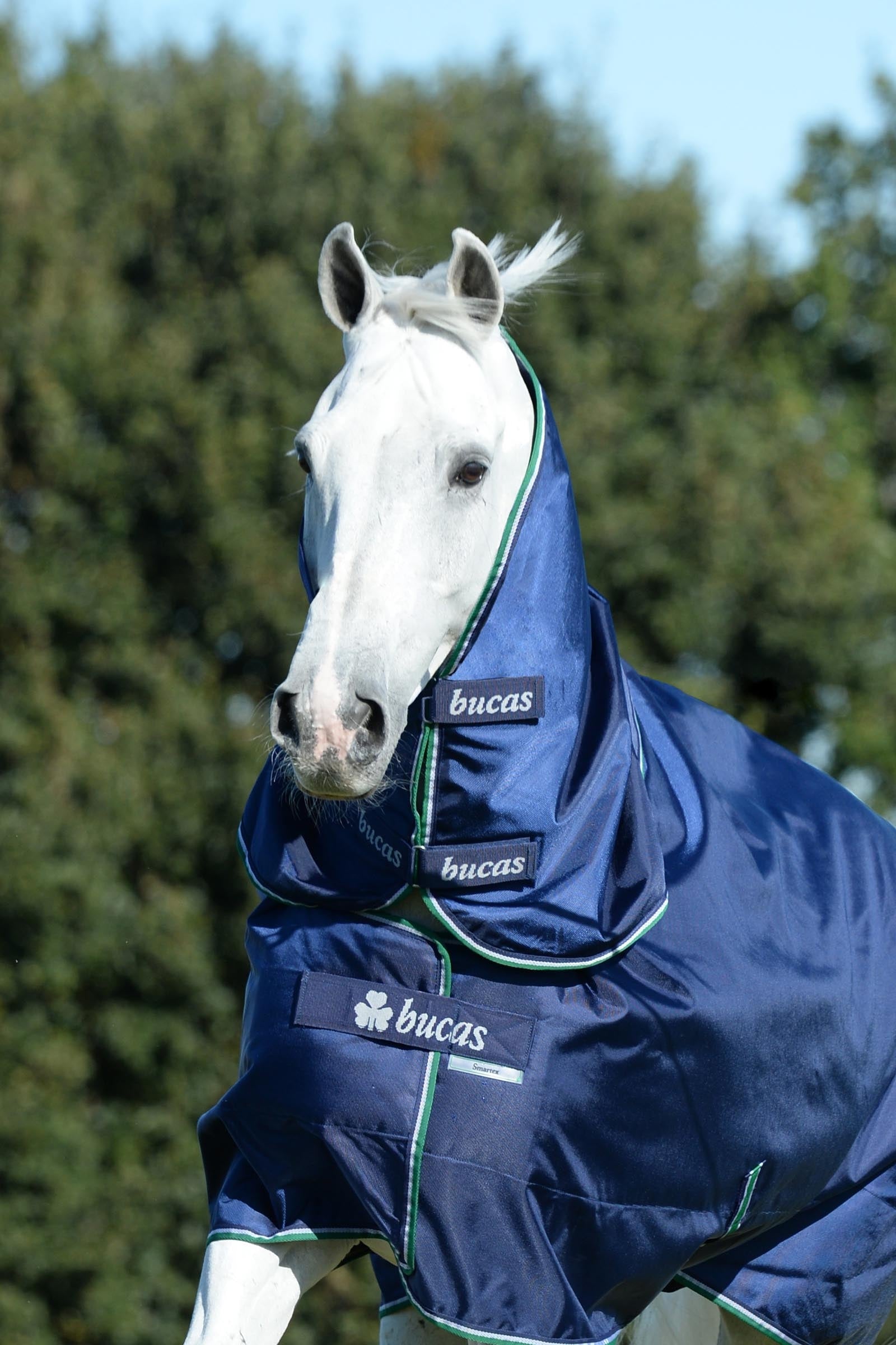 Bucas Smartex Combi Neck 300 Horse Rugs