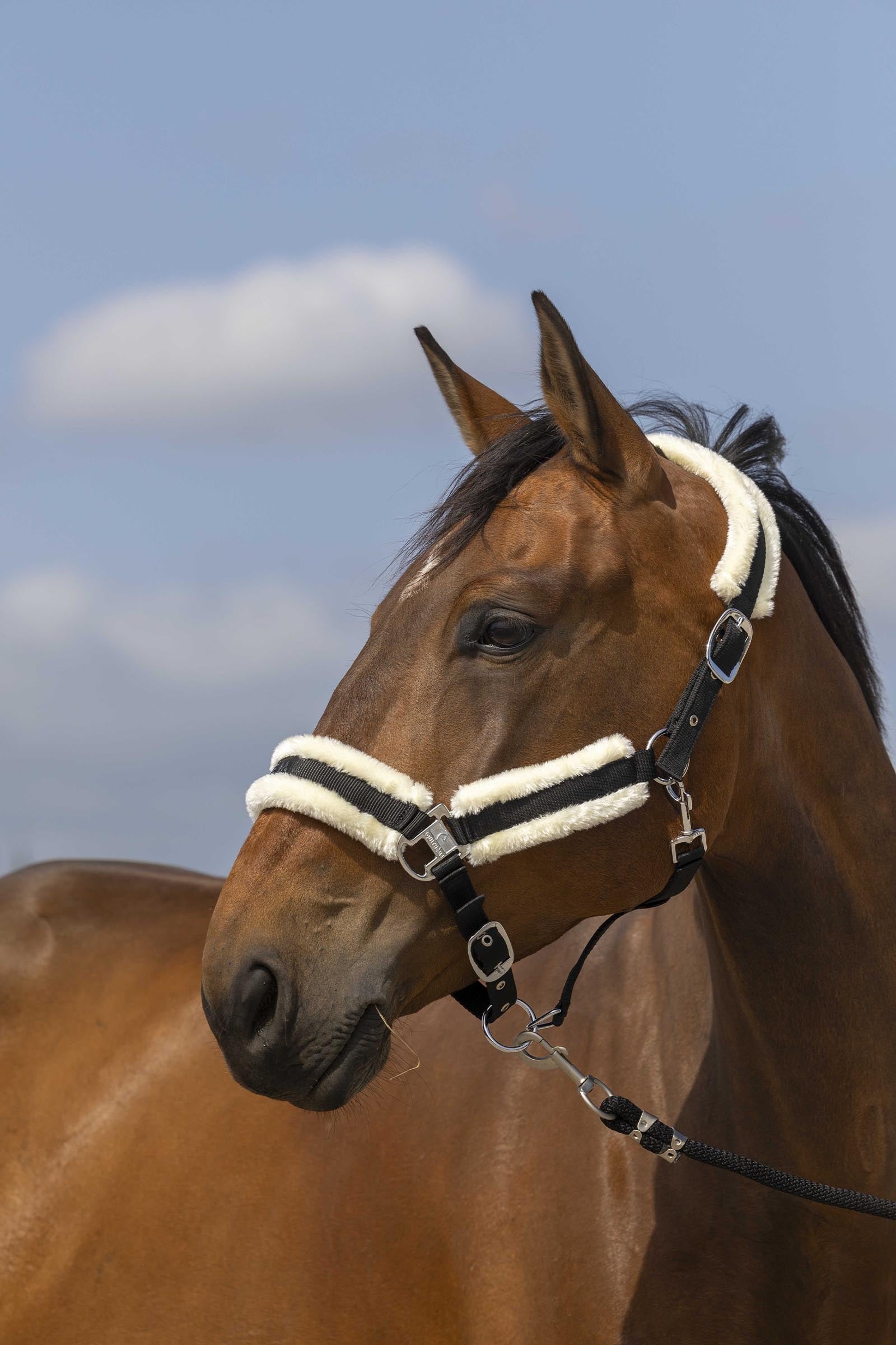 EQUITHÈME Nylon Mouton grime Grimer & Træktove