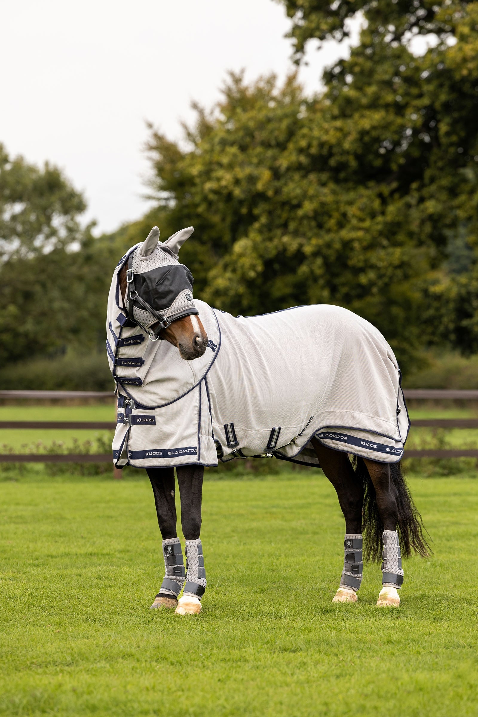 LeMieux Kudos Gladiator Fly Rug Horse Rugs