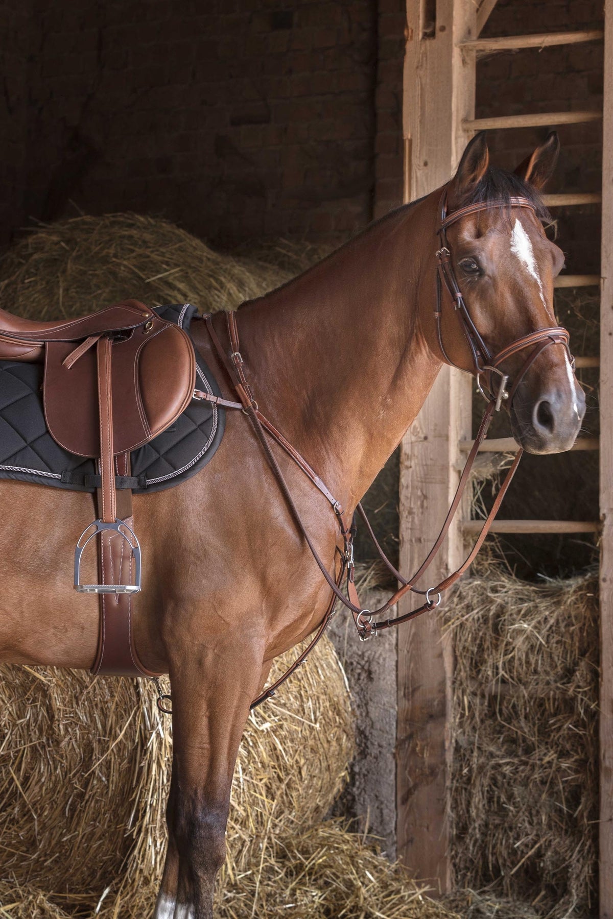 ERIC THOMAS HYBRID Breastplate Bridles & Reins