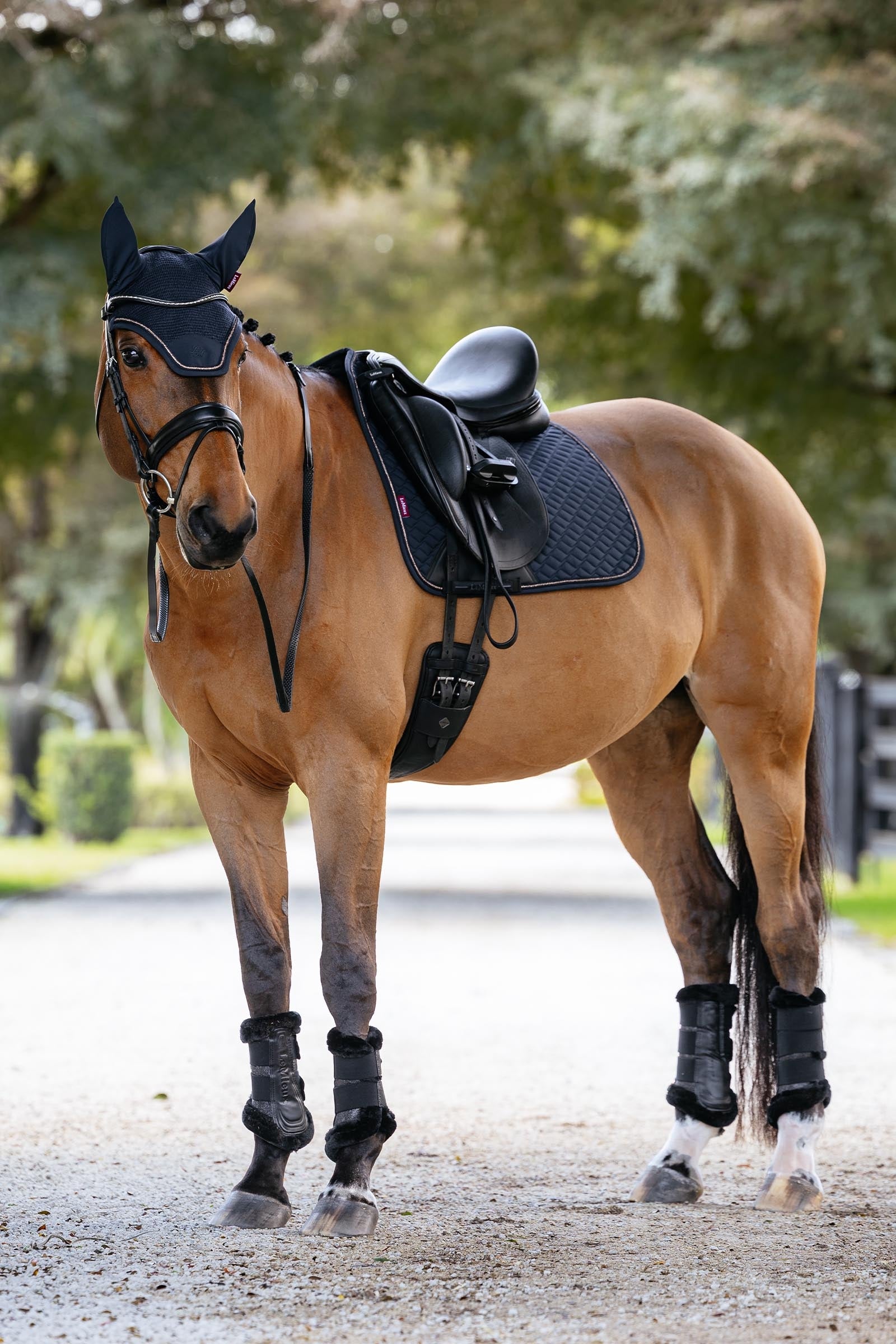 LeMieux Brilliance Dressage Square Saddle Pads
