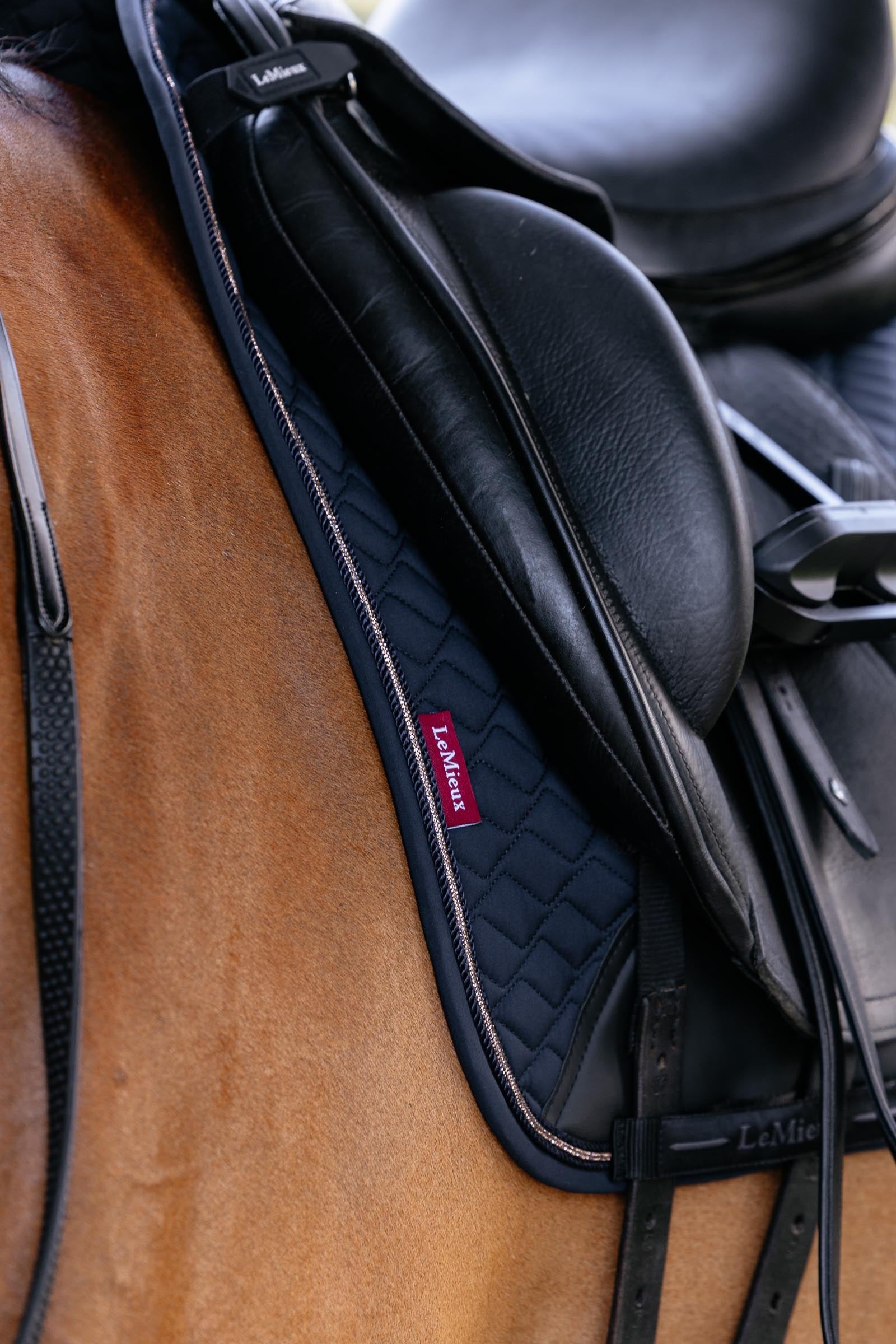 LeMieux Brilliance Dressage Square Saddle Pads