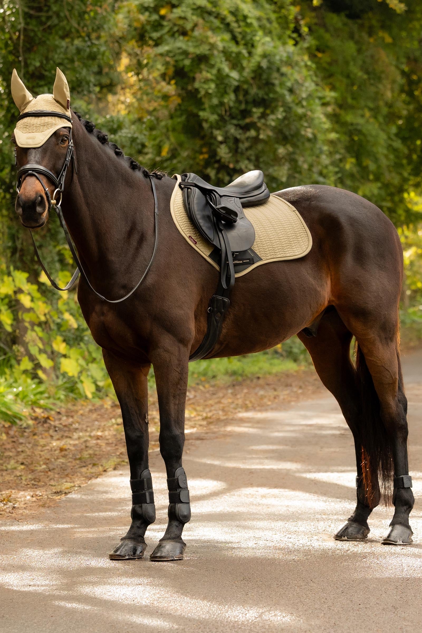 LeMieux Essence Close Contact Square Saddle Pad Saddle Pads