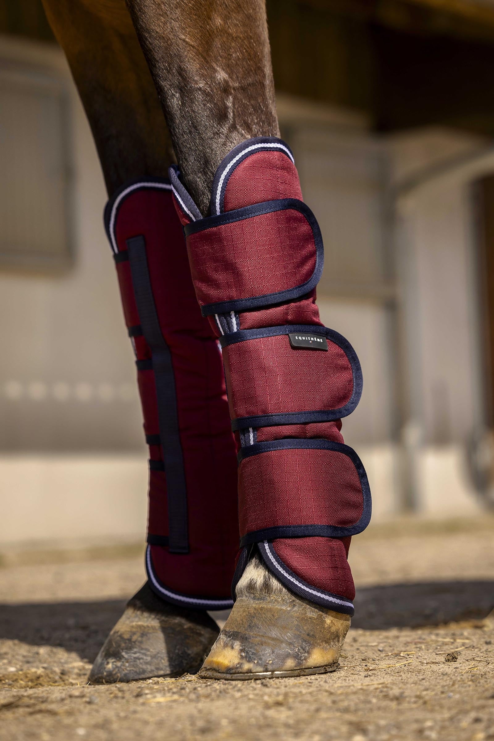 Equi Theme EQUITHÈME TYREX Aisance 1200D Transport Boots Leg & Hoof Protection