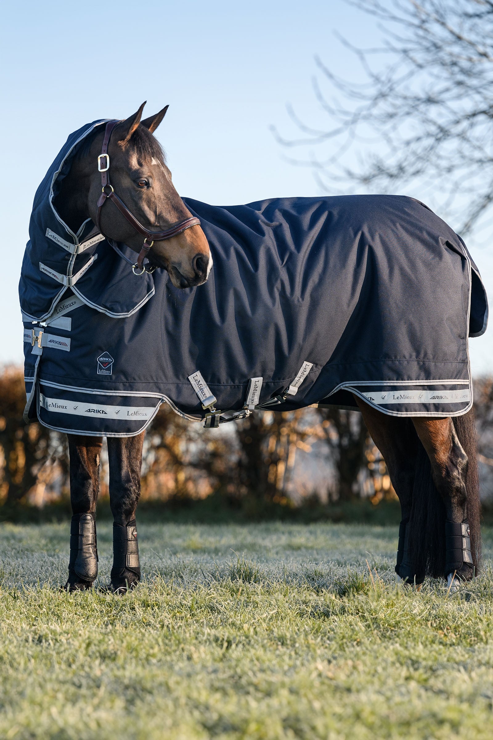 LeMieux Arika Storm-Tek 350g Horse Rugs