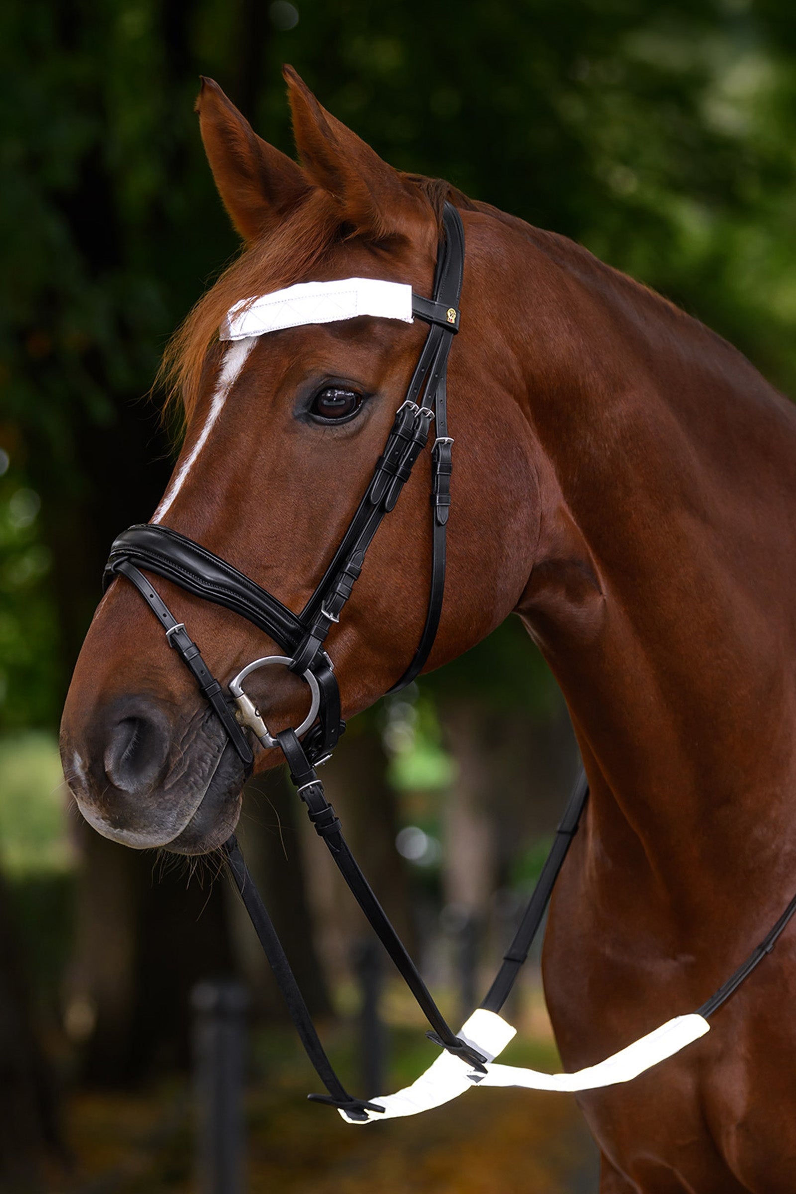 Waldhausen REFLEX Snaffle Bridle Set Reflective